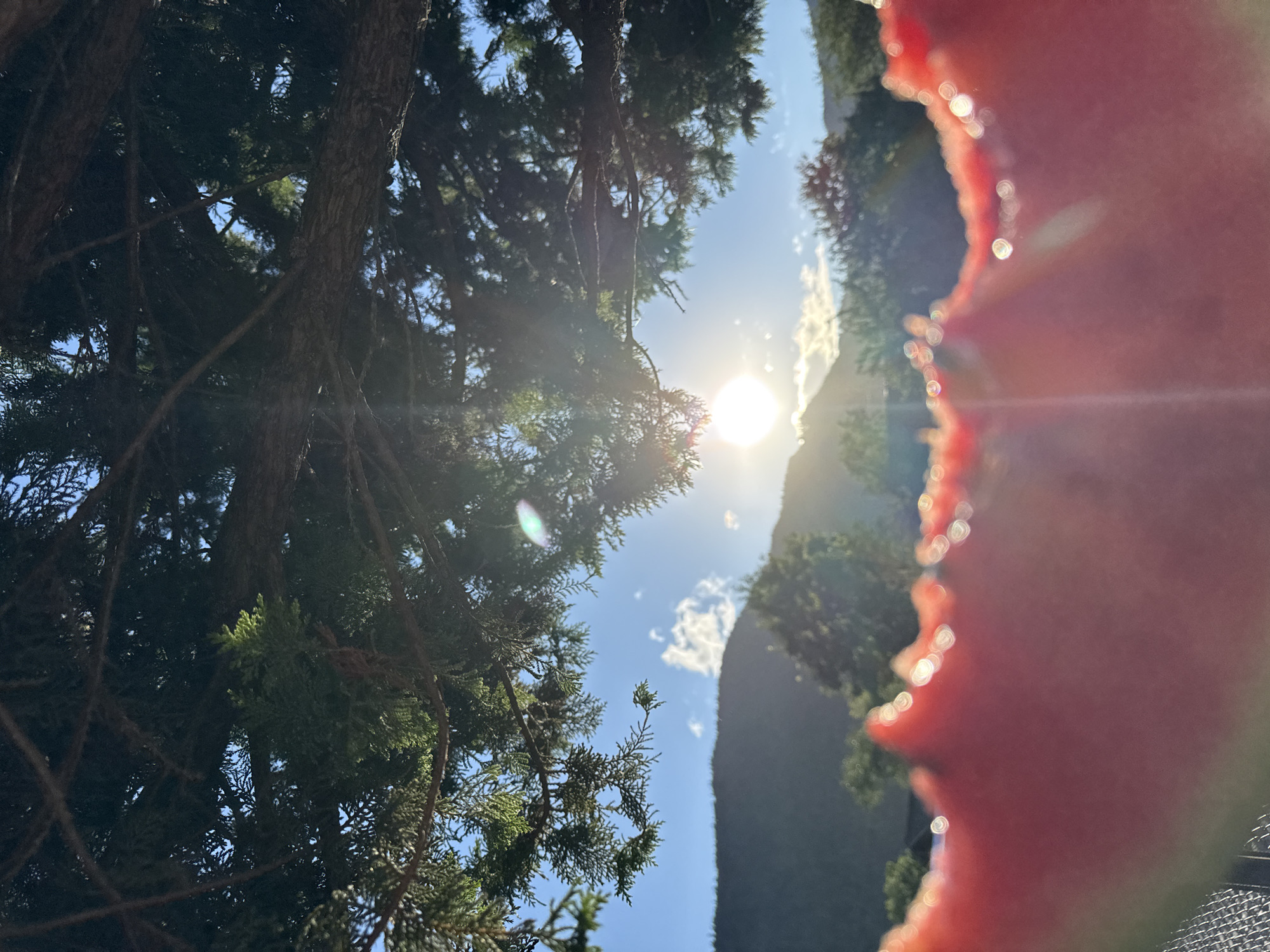A close-up, low-angle shot focuses on the serrated edge of a slice of watermelon. The vibrant red flesh of the watermelon is in sharp focus in the foreground, with a blurry, bokeh effect of light circles dotting the edge. Behind the watermelon, a bright sun shines through the branches of a dark green evergreen tree, creating lens flares. The sky is a clear blue with a few wispy white clouds. In the distance, rolling hills covered in trees form a backdrop against the sky. The scene appears to be outdoors, possibly in a park or backyard, given the presence of the tree and the natural landscape. The location is not specified beyond the city of Unknown, Unknown. There are no people or actions depicted in the image.