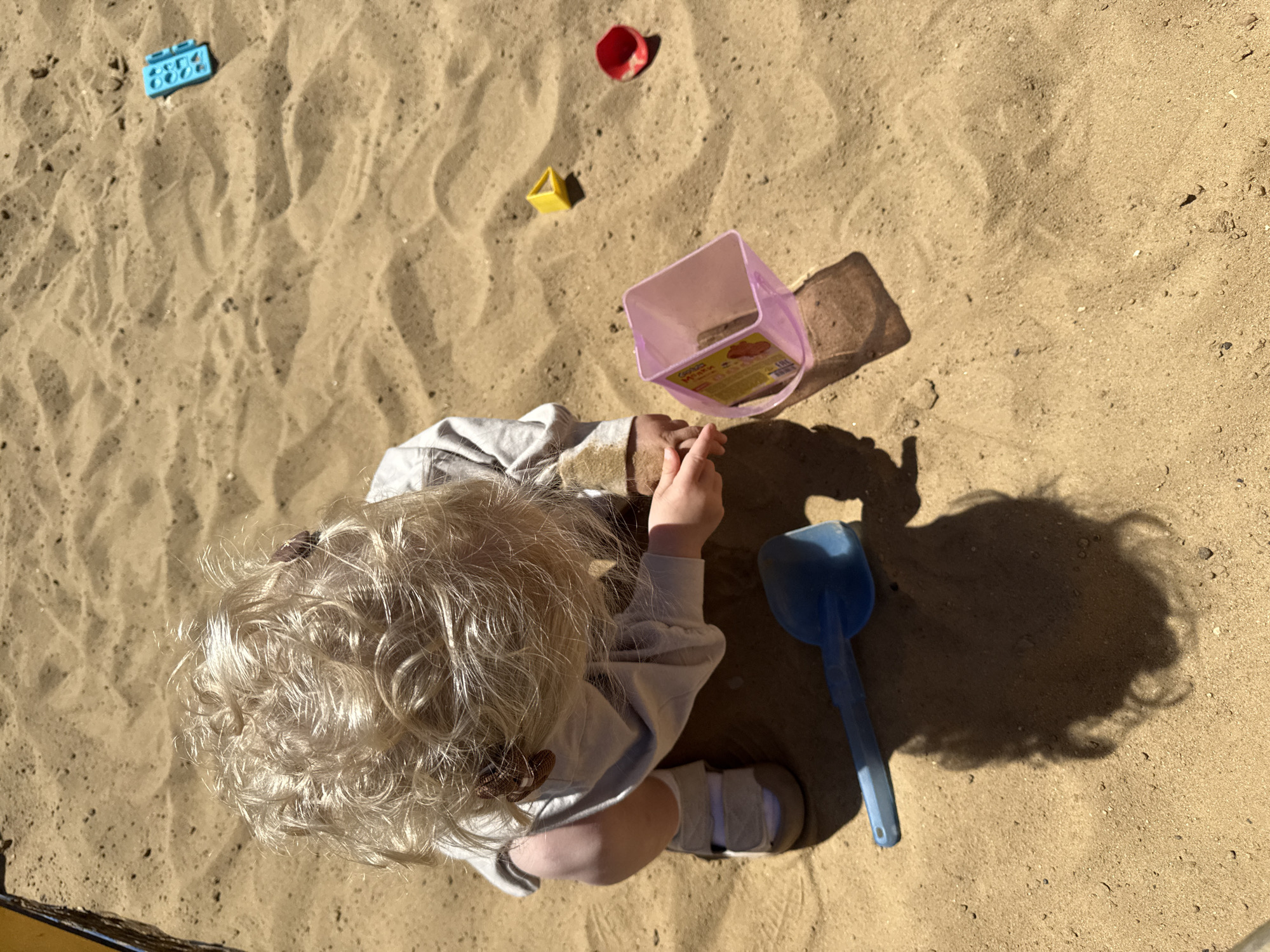 In a sandbox filled with light brown sand, a toddler with curly blonde hair is playing. The toddler is wearing a light grey long-sleeved shirt and light-colored shoes. They are in a crouching position, with their hands in the sand. In front of the toddler is a blue plastic shovel. To the toddler's right, there is a translucent pink plastic container, a small yellow triangular toy, and a red plastic cup. In the background, further to the right, a blue toy brick can be seen. The scene is illuminated by bright sunlight, casting shadows on the sand. The location is a sandbox, possibly in a playground, and it is not possible to determine the specific location within the city of Vladimir, Russia, from the image alone.