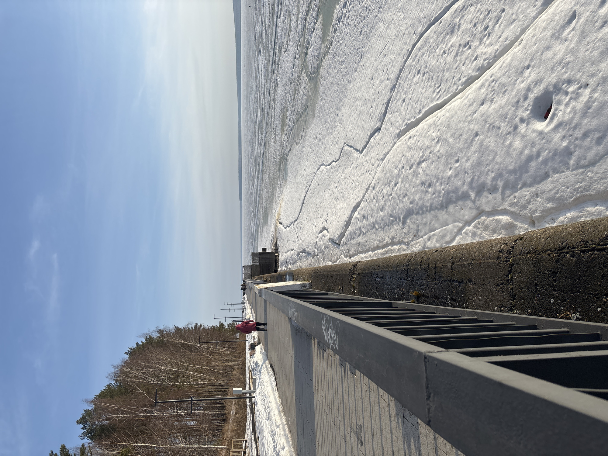 The image shows a view from a concrete pier in Chaikovsky, Russia, looking out over a body of water largely covered in ice and snow. The sky is light blue with a few thin clouds. To the left of the pier is a wooded area with bare trees and snow on the ground. A pedestrian is walking along the pier. A metal ladder or railing runs along the side of the pier. The ice has cracks and patterns. The photo appears to have been taken on a clear, sunny day.