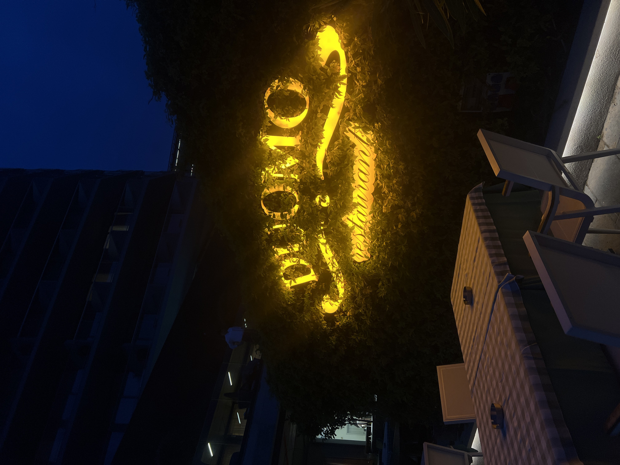 The image depicts an outdoor scene in Rafailovići, Montenegro at night. A vertically oriented, glowing neon sign that reads "Olio Restaurant" in stylized font is attached to a wall covered in lush green foliage. To the left of the sign, a modern building with multiple stories and angular, dark metal or glass facades is visible against the dark blue sky. To the right, outdoor restaurant seating is present. A table with a checkered tablecloth and white chairs with their backs up are seen on a light grey surface, likely a sidewalk or patio. The scene is brightly lit by the neon sign, casting shadows on the surroundings. The composition is slightly tilted, giving a skewed perspective.