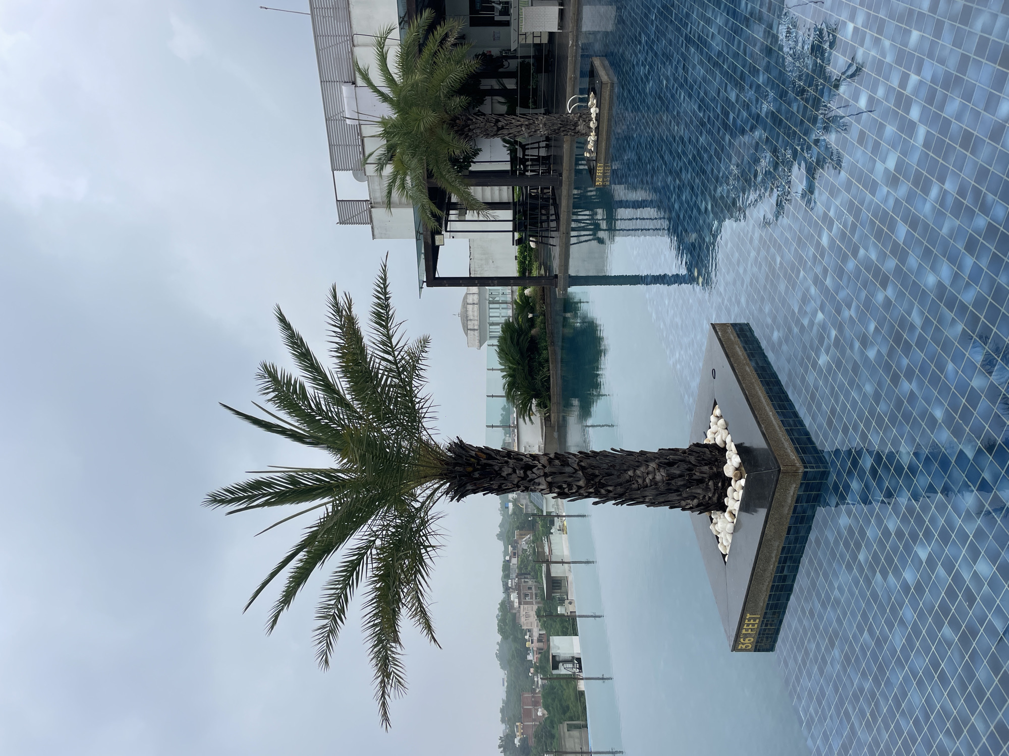 This image captures a swimming pool area, likely on a rooftop, in Agra, India. Two palm trees are prominently featured, one larger in the foreground and a smaller one in the midground. The larger palm tree stands on a square platform in the pool, surrounded by white stones. The pool itself is tiled with small blue squares. In the background, a cityscape with buildings and lush greenery is visible under an overcast sky. A building with an outdoor seating area, likely a restaurant or bar, is situated to the right of the midground palm tree. The overall atmosphere is calm and serene, despite the cloudy weather.