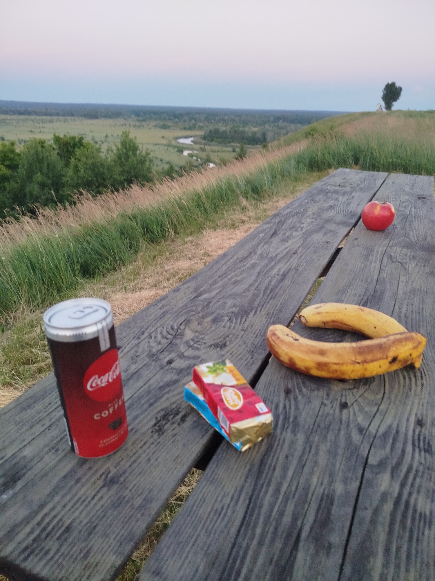 A wide-angle, eye-level shot captures a picnic scene on a rustic wooden table set on a grassy hilltop overlooking a vast, green valley. The sky transitions from pale blue near the horizon to a soft lavender at the top, suggesting either dawn or dusk. The foreground is dominated by the weathered wooden planks of the picnic table, which are angled diagonally from the bottom left to the top right.
On the table, several items are arranged: a can of Coca-Cola Coffee stands upright on the left, its red and silver packaging clearly visible. To its right, a small, rectangular package, possibly of butter or cheese, with red and gold foil and blue accents, lies flat. Further to the right, two ripe bananas are positioned, one curved above the other, their yellow skins showing brown spots. A single red apple sits at the top right of the table.
The background reveals a rolling landscape of green fields and scattered trees, dissected by a meandering river. In the far distance, a dense, dark line of trees marks the horizon. On the summit of a hill in the middle distance, a solitary, dark tree stands silhouetted against the sky. The overall impression is one of a tranquil outdoor setting.
The location is identified as Ustyvytsia, Ukraine.