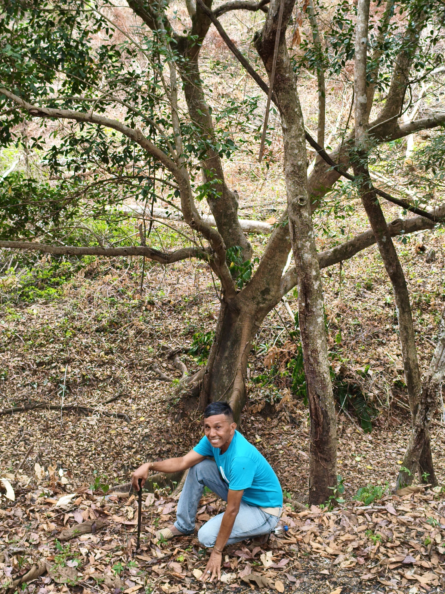 The image shows a man squatting in a wooded area. The man is wearing a blue t-shirt and jeans and is holding a walking stick. He is smiling at the camera. The area is covered in fallen leaves and the trees are bare. This location may be in the city of Tinaquillo, Venezuela.