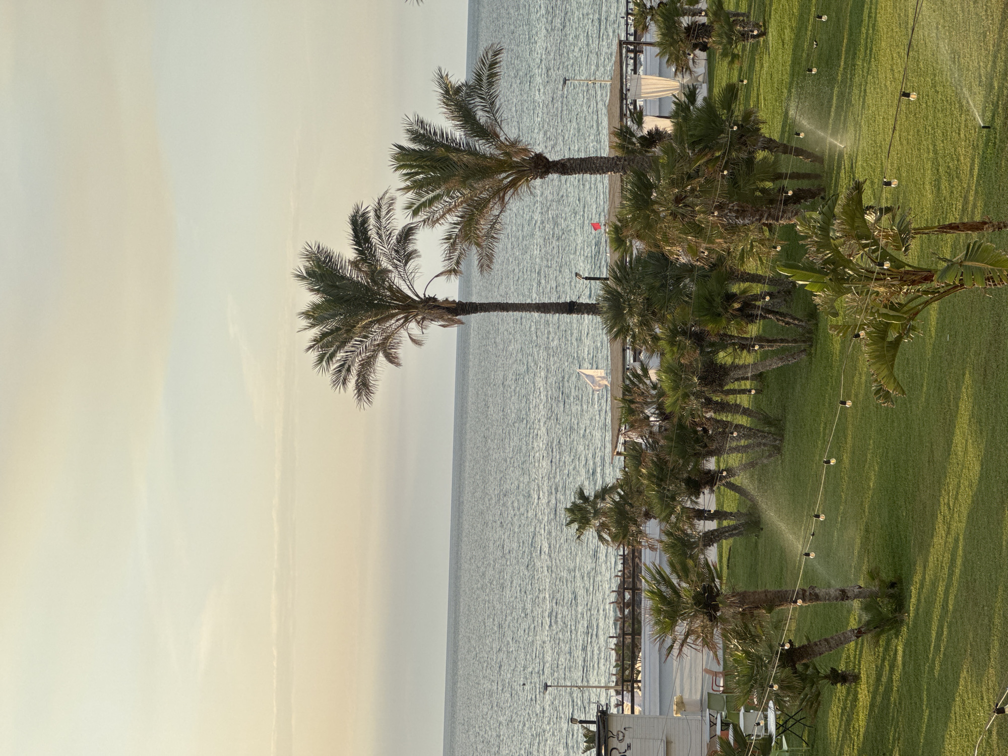 This is a high-angle, full shot of a coastal area in Isola delle Femmine, Italy, during what appears to be late afternoon or early evening. The scene is dominated by the calm, blue Mediterranean Sea meeting a soft, pale sky. In the foreground, a neatly manicured green lawn is dotted with numerous palm trees of varying sizes. String lights with exposed bulbs are draped across the lawn in some areas. Sprinklers are actively watering the grass, creating visible arcs of water in the air.
On the left side of the image, a small, white building with some signage is visible, along with a few outdoor tables and chairs. Further back, a boardwalk or promenade runs along the coastline, with a few structures and awnings, likely part of a beachside establishment or resort. Two prominent palm trees stand tall in the mid-ground, with the sea and sky as their backdrop. The overall atmosphere is serene and resort-like, suggesting a tranquil vacation setting. No people are visible in the scene.