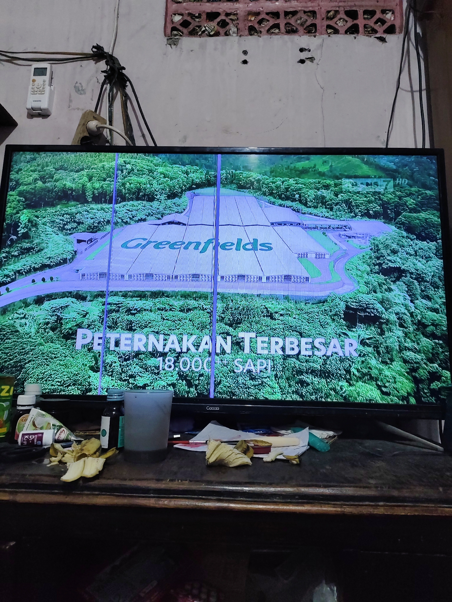 An aerial view of the Greenfields company's dairy farm is displayed on a television screen in a dimly lit room. The farm appears to be a large, modern facility surrounded by lush green trees. Text on the screen reads "Greenfields" and "PETERNAKAN TERBESAR 18.000+ SAPI" (Largest farm 18,000+ cows). In the foreground, a wooden table is cluttered with various items including bottles of vitamins, a tube of lip balm, a plastic cup, crumpled paper, and pieces of what appear to be fruit peels. Wires hang from the ceiling and wall, connected to an electrical outlet and a remote control mounted on the wall. The scene suggests a domestic setting, likely a living room or bedroom, in South Jakarta, Indonesia.