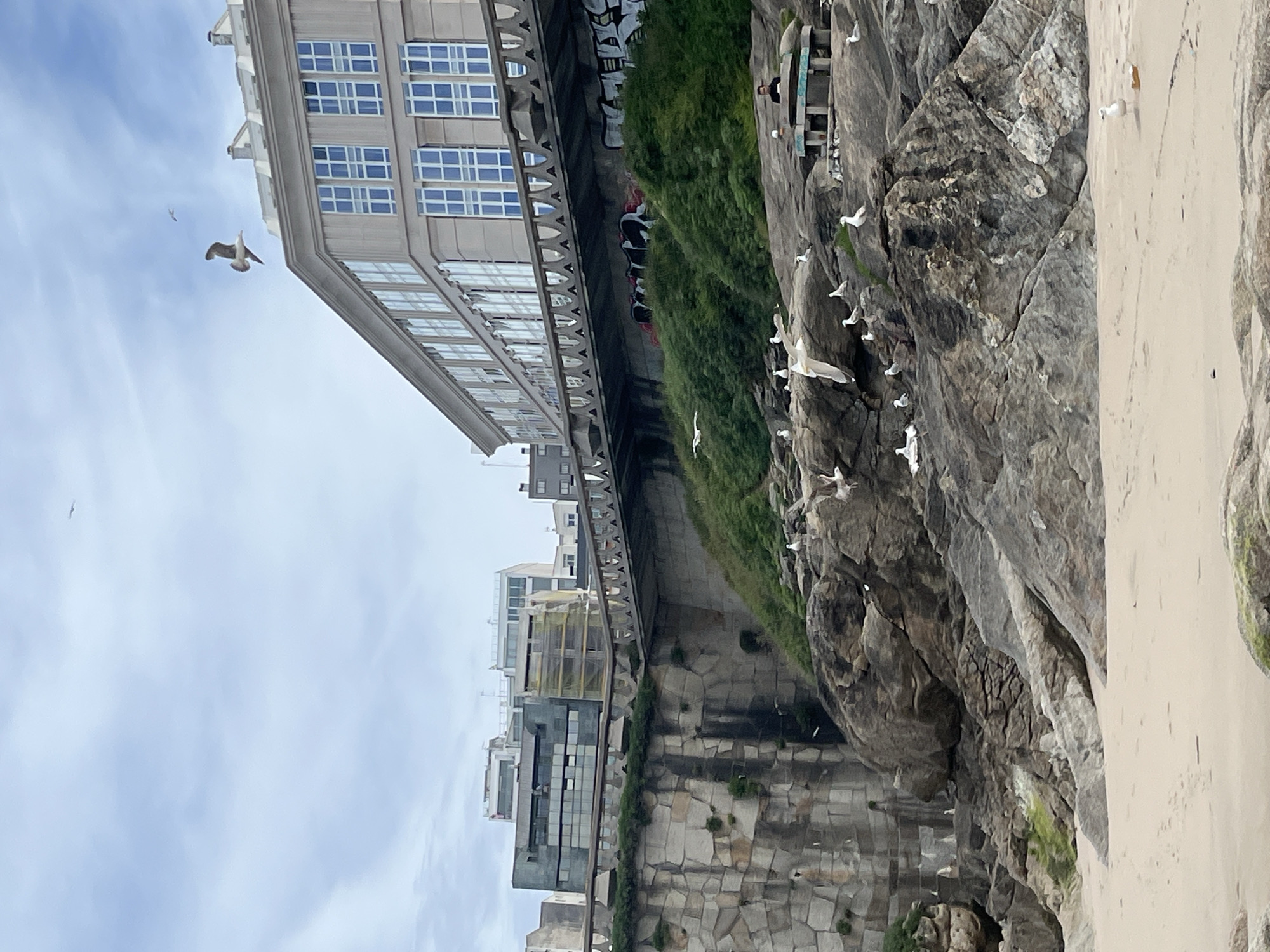 This media file captures a coastal urban landscape, likely in A Coruña, Spain, as indicated by the context. The scene is dominated by a rugged rock face or cliff on the right, which slopes down to a sandy beach on the far right. The cliff is a mottled grey and brown, with patches of green vegetation clinging to its surfaces.
Numerous white gulls are a prominent feature of the image, with many perched on the ledges and crevices of the rock face. Several gulls are also captured in various stages of flight across the sky and near the cliff.
To the left of the cliff, a large, modern grey building with multiple levels and a grid of square, blue-tinted windows stands prominently. Further into the background on the left, other city buildings are visible, some appearing residential, and one in the mid-ground shows scaffolding, indicating construction or renovation. An elevated walkway or road runs along the base of the tall building, bridging towards more distant city structures.
On a flatter section of the cliff, towards the upper right-center, a small platform or structure with railings is visible, possibly a viewing area or part of an establishment. At least one person is discernible on this platform.
The sky is a bright, light blue with scattered white clouds, suggesting daytime with either clear or partly cloudy weather. No legible text is visible in the image. The overall impression is one of a vibrant coastal city where urban development meets natural rock formations and a beach, with abundant birdlife.