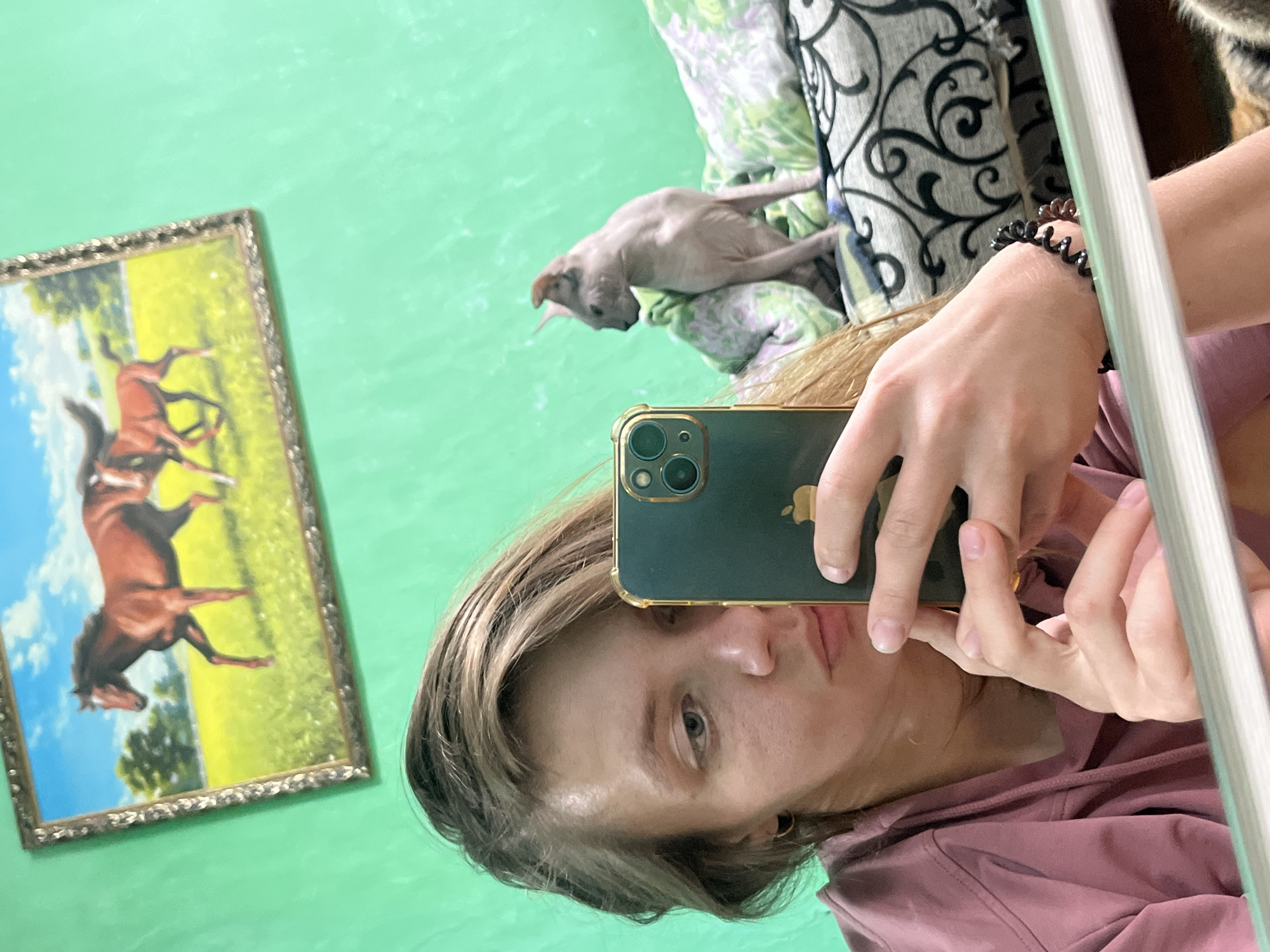 This media file is a selfie taken in a room with bright green walls. The room contains several objects, including a framed painting of two horses in a field, and a light-colored sofa with a patterned throw. A Sphynx cat is resting on the sofa, looking towards the camera.
The selfie is taken by a person holding a smartphone, which is positioned in front of their face, obscuring part of it. The person is wearing a pink hoodie and a black spiral hair tie as a bracelet on their wrist. The image appears to be taken indoors, with artificial lighting, and there are no obvious cues about the time of day or weather. The overall mood is casual and relaxed. There is no visible text in the image. The location context provided indicates Nizhny Tagil, Russia.