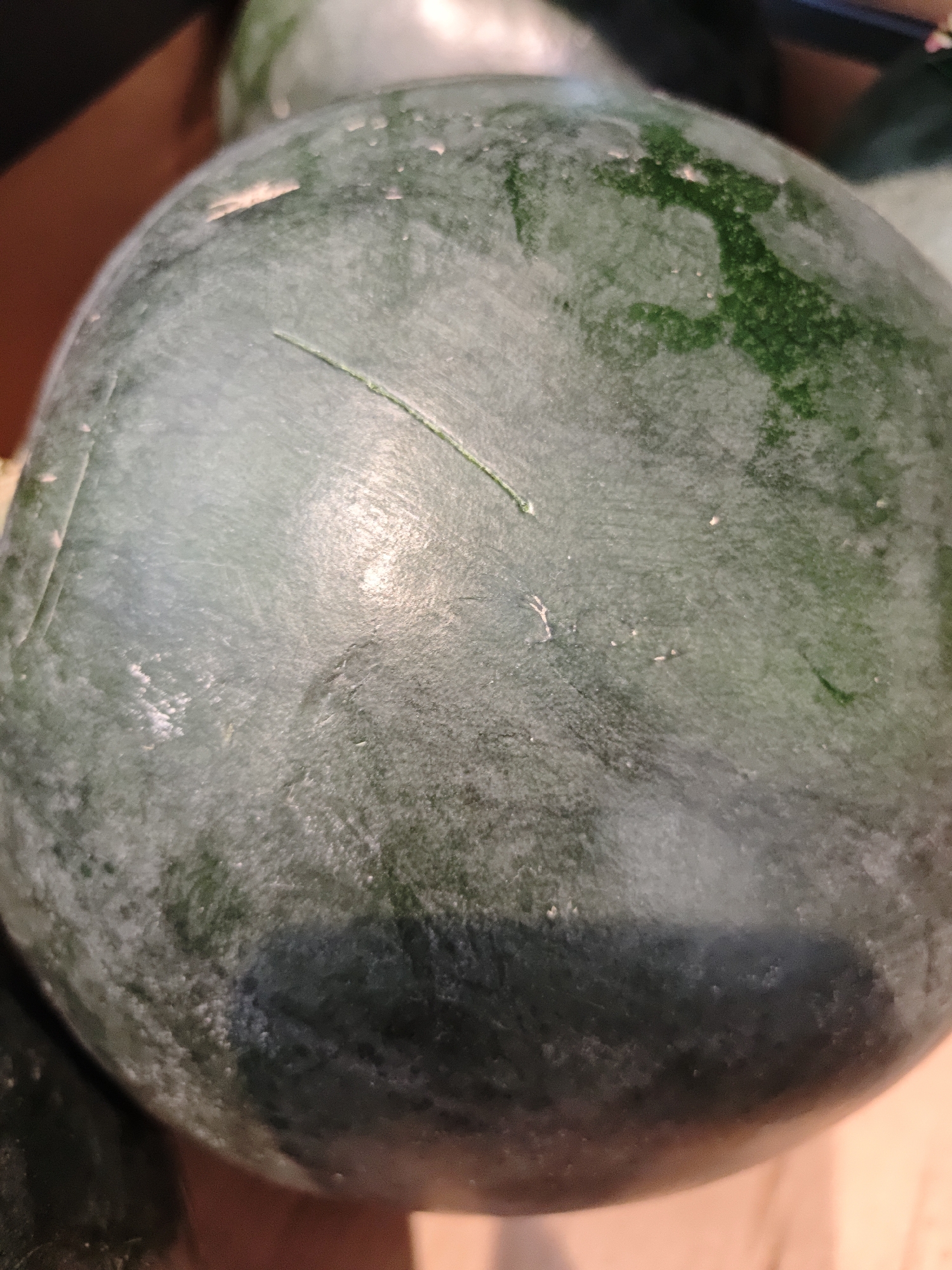 The image is a close-up, overhead shot of a watermelon. The watermelon is dark green with a dull, waxy sheen. There is a faint scratch mark running across the surface, as well as some lighter, powdery-looking residue. The background is blurred and appears to be a light brown, possibly the inside of a fruit stand or market stall. The lighting is somewhat uneven, with some areas appearing brighter than others due to reflections on the watermelon's rind. The image does not provide any information about the city of Shcherbinka, Russia.