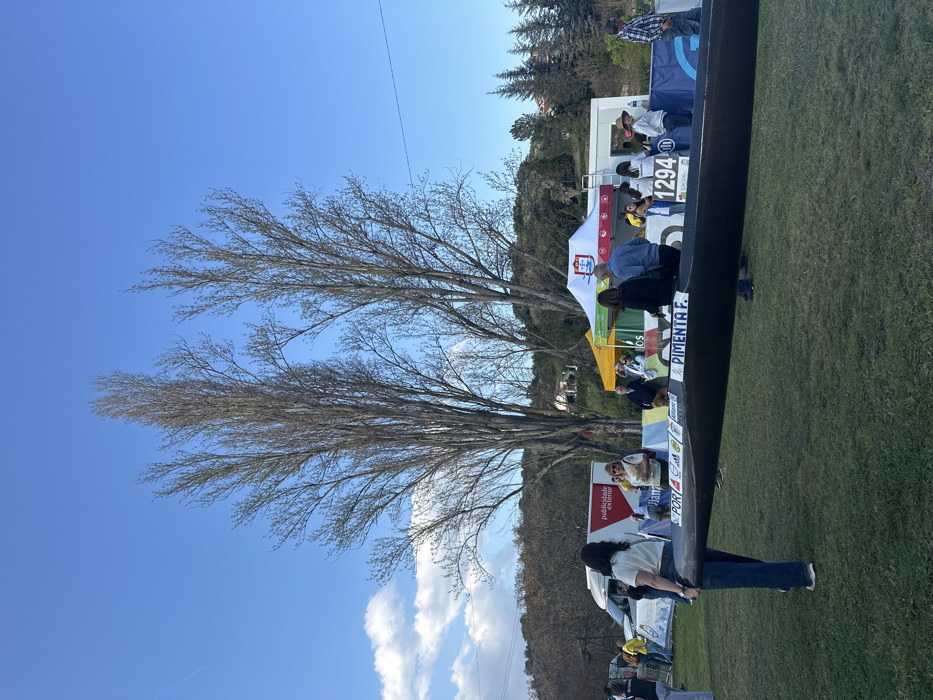 The image displays an outdoor event scene in Mirandela, Portugal, under a clear blue sky with sparse white clouds and a faint contrail. The foreground and mid-ground consist of green grass. Two prominent, tall deciduous trees with bare branches stand centrally, flanked by further trees and hilly terrain in the background, where distant structures are visible.
In the mid-ground, a long, dark racing canoe or kayak hull is positioned horizontally, displaying "PORT," a sports logo, and "PIMENTA F." on its side. A person with dark hair, wearing a light top and dark trousers, stands with their back to the camera, positioned to the left of the canoe's visible portion.
To the right of the central trees, a white event tent with a red logo and blue lettering is erected, next to a yellow-green tent. A sign displaying "1294" is affixed near the white tent. A blue banner with white text and logos stretches across the mid-ground behind the canoe and tents, serving as a boundary or backdrop. Further left, a white van with "Publicidade Exterior" text is parked behind another white banner with red text.
Approximately 20-30 individuals are dispersed throughout the scene, gathered around the tents and banners, observing or participating in the event. Their attire is casual. No specific interactions are clearly discernible beyond general congregation.