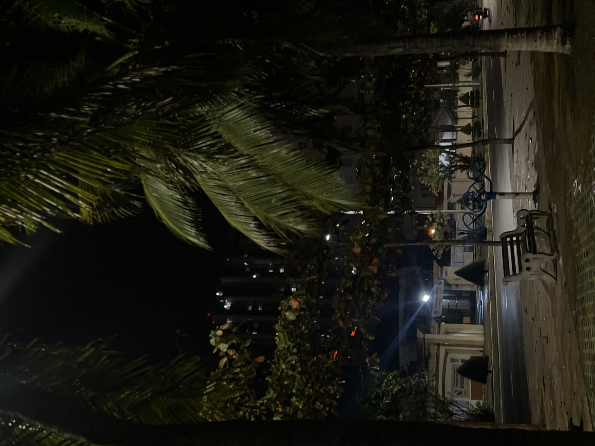 At night, a partially obscured view of Bac Nha Trang Ward, Vietnam, is framed by foliage. A paved street runs from the bottom right towards buildings illuminated by streetlights. A white bench sits on the right, near exercise equipment. A scooter with a red taillight is visible in the distance on the street. Tall buildings are discernible in the left background through trees. The overall scene is dimly lit and gives a sense of tranquility.
