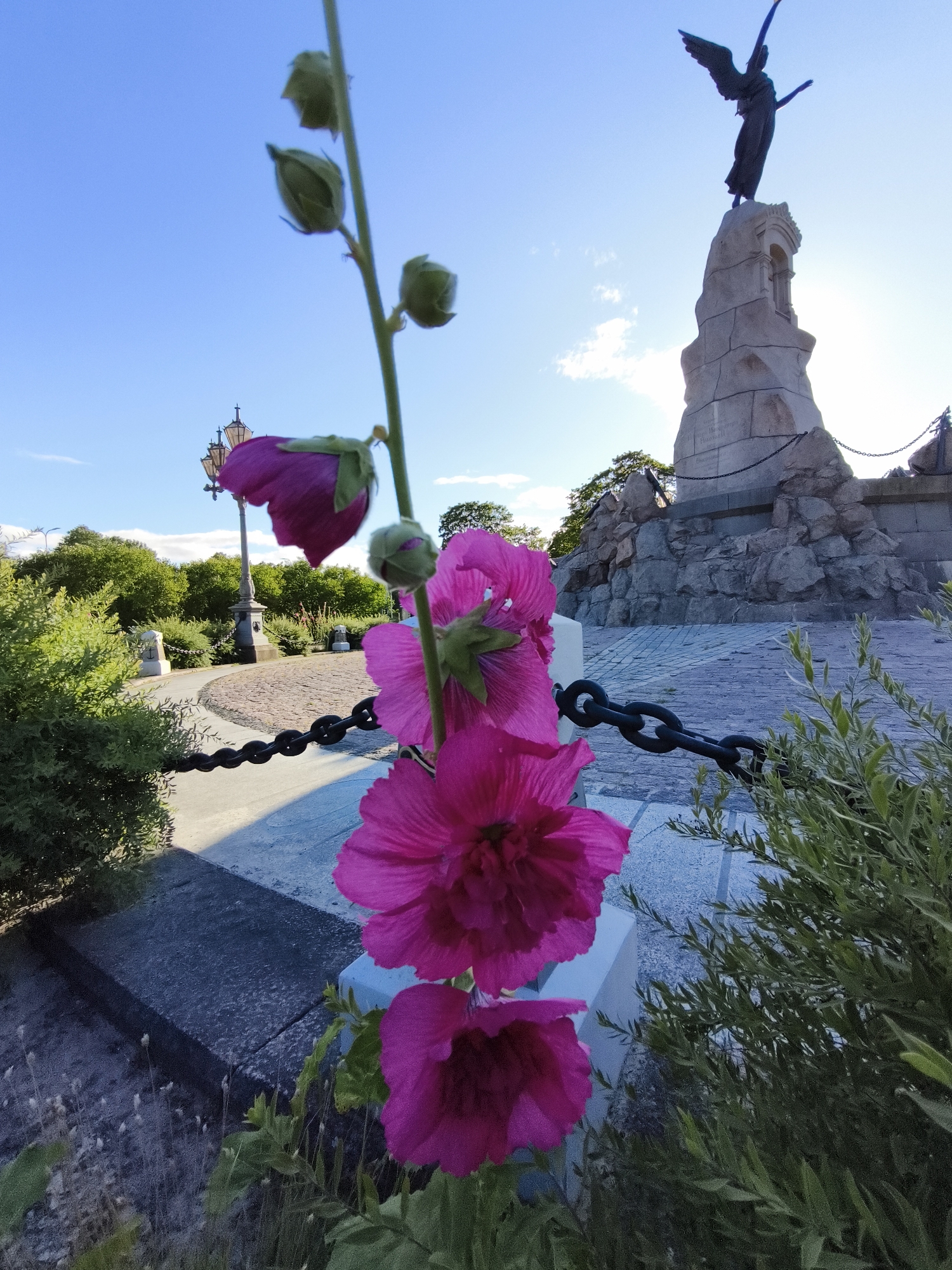 The image captures a close-up view of bright pink hollyhock flowers in the foreground, with their buds and open blooms prominent against a clear blue sky. Behind the flowers, a large, imposing stone monument topped with a winged statue of an angel is visible. This monument appears to be a significant landmark. The monument is surrounded by a stone-tiled plaza, with a thick metal chain acting as a barrier in front of it. Lush green bushes flank the sides of the scene. In the mid-ground, a lamppost with multiple lights stands near a curved pathway. The overall setting suggests an outdoor public space, likely a park or memorial area. This is the Kiek in de Kök Fortifications Museum located in Tallinn, Estonia.