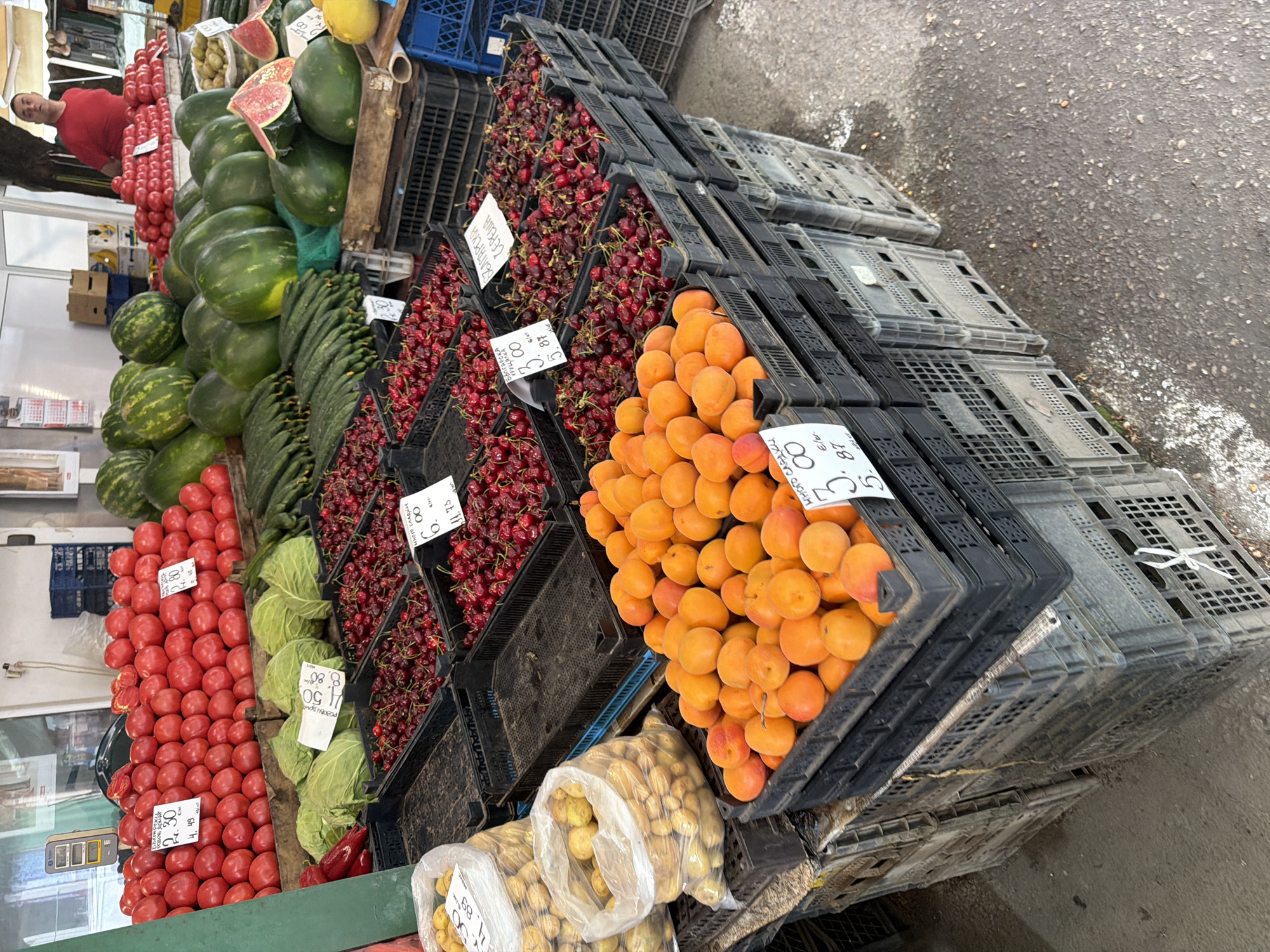 This media file captures a vibrant, well-stocked outdoor market stall, likely situated in Ruse, Bulgaria. The scene is dominated by a diverse array of fresh fruits and vegetables, meticulously arranged in black and grey plastic crates on the asphalt ground.
In the foreground and extending to the left, large green watermelons are prominently displayed, with some cut open to reveal their red flesh. Alongside them are long green cucumbers. A man in a red shirt is visible in the upper left background, looking towards the camera, possibly a vendor.
Further along the stall, a substantial quantity of bright red tomatoes is piled on a counter, next to several heads of fresh green cabbage. Numerous black crates hold dark red cherries, while adjacent crates overflow with bright orange apricots. At the very front, clear plastic bags contain small, light-colored produce, likely new potatoes or similar small fruits, with price tags.
White price tags with black lettering and Cyrillic text are scattered throughout the displays. Visible phrases include "МНОГО СЛАДК" (Very Sweet), "БЪЛГАРСКА ЧЕРЕША" (Bulgarian Cherry), and "Розови дом" (Pink Tomatoes), indicating the variety and quality of the produce. Various numerical values, likely prices per kilogram or unit in Bulgarian Leva, are present, such as "2.30", "4.49", "3.00", "5.87", "8.88", "11.73", and "84".
The image appears to be taken during the day under bright, natural light, suggesting clear weather. The overall impression is that of a bustling, local market offering fresh, seasonal goods.