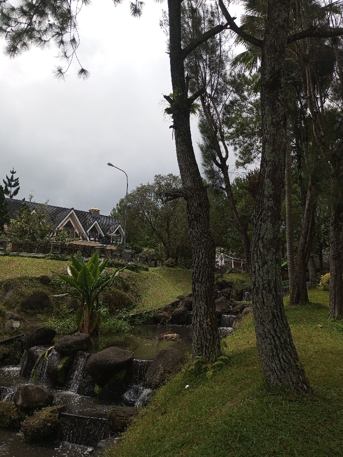 A stream with small waterfalls flows through a lush, green landscape. Trees line the right side, partially obscuring the view. On a grassy hill to the left, a building with a dark, angled roof and a golden cupola is visible. A single streetlight stands nearby. The sky is overcast and gray, suggesting a cloudy day. The scene evokes a peaceful, natural setting.