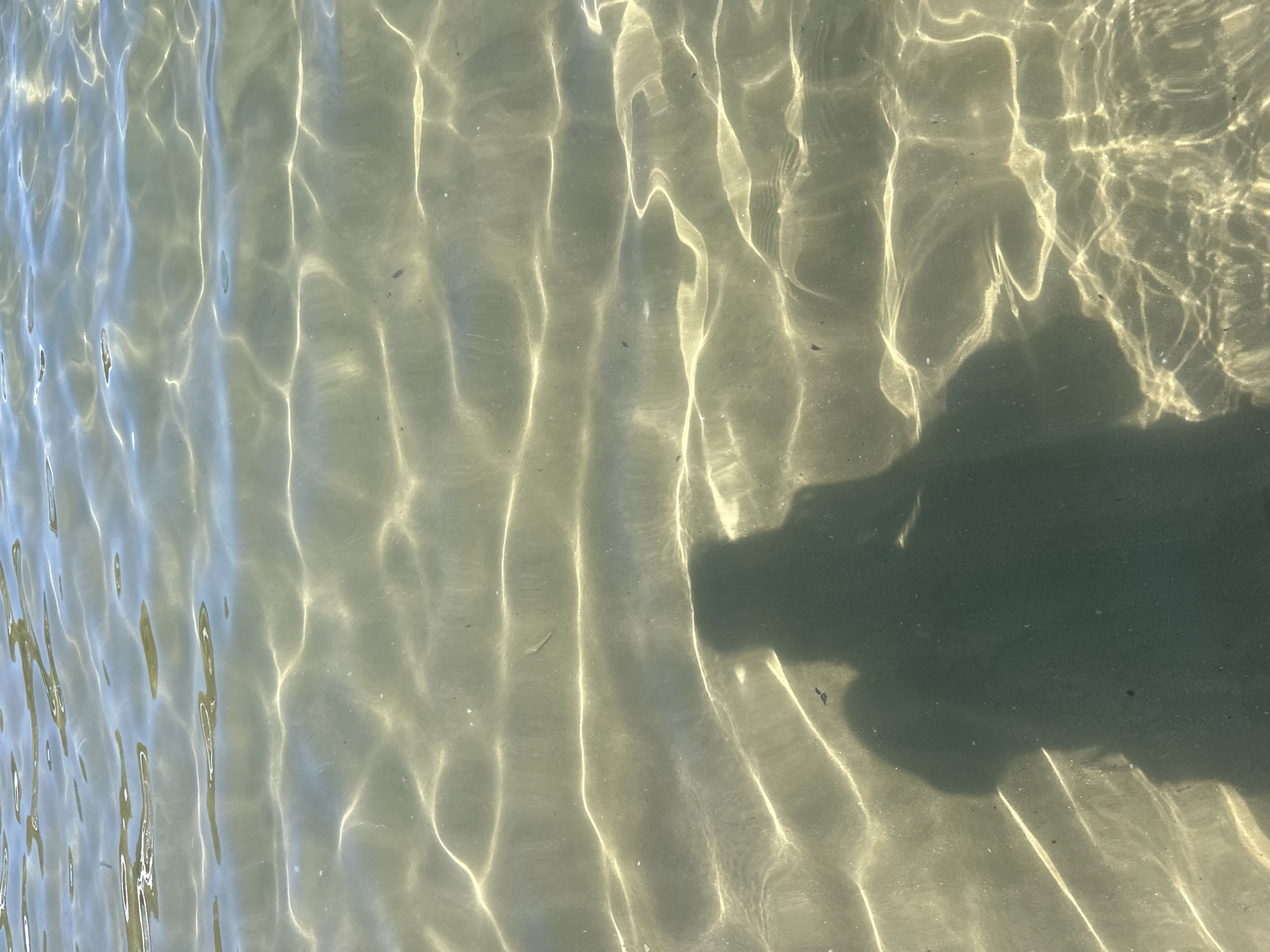 The image shows a shadow of a person holding a camera, cast on the sandy bottom of clear, shallow water. The sun's rays create shimmering patterns on the water's surface and the seabed. The location is the coast of Peschici, Italy.