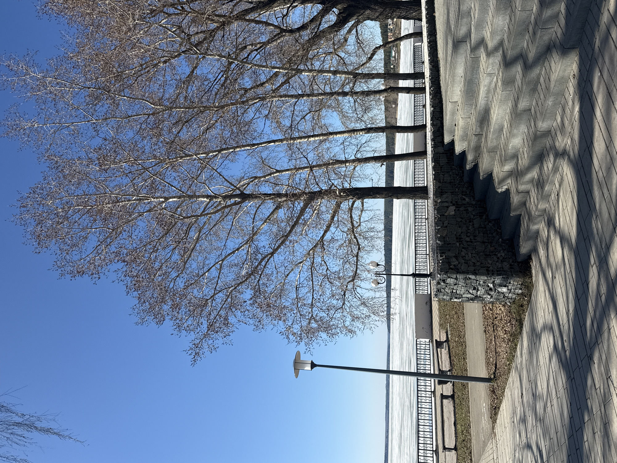 The image depicts a waterfront area in Votkinsk, Russia on a clear day. The sky is a bright blue. Several tall trees with bare branches line the embankment, partially obscuring the view of a frozen body of water, presumably the Votkinsk Reservoir. A black metal railing runs along the water's edge, interspersed with stone-filled wire cages acting as retaining walls. Lampposts stand near the railing. A paved walkway constructed of gray brick stretches parallel to the waterfront, edged by concrete steps. Shadows cast by the trees and lampposts fall across the walkway. There are no people visible.