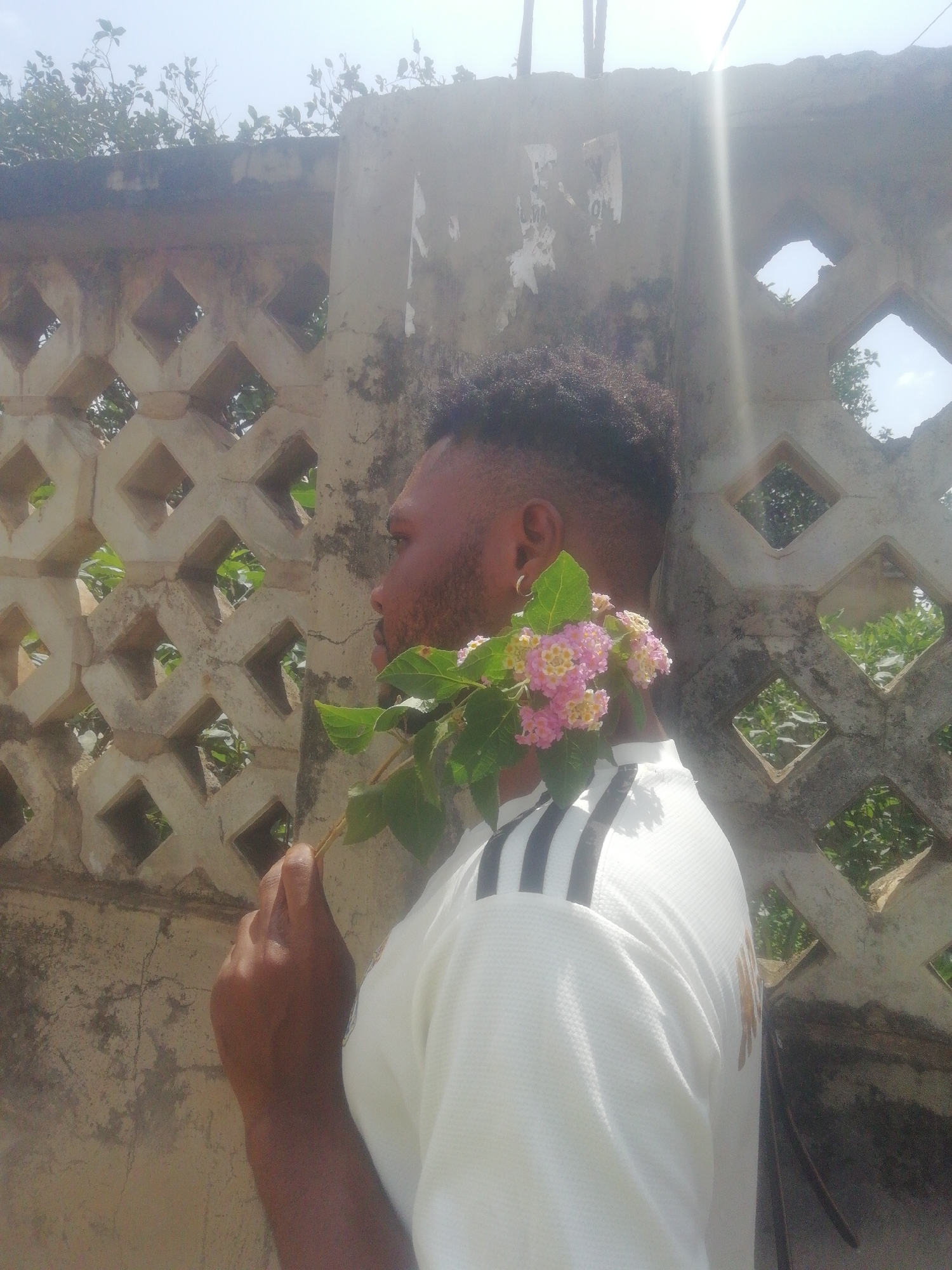 A man stands in front of a weathered concrete wall with diamond-shaped openings in an outdoor setting. The location appears to be in a city, as indicated by the wall. The man, viewed in profile, has short dark hair and a beard. He is holding a branch with pink and yellow flowers and green leaves. He wears a white shirt with black stripes on the shoulder. The background shows glimpses of vegetation through the wall's openings. The image is brightly lit, suggesting a sunny day. The concrete wall is cracked and stained, showing its age and exposure to the elements.
