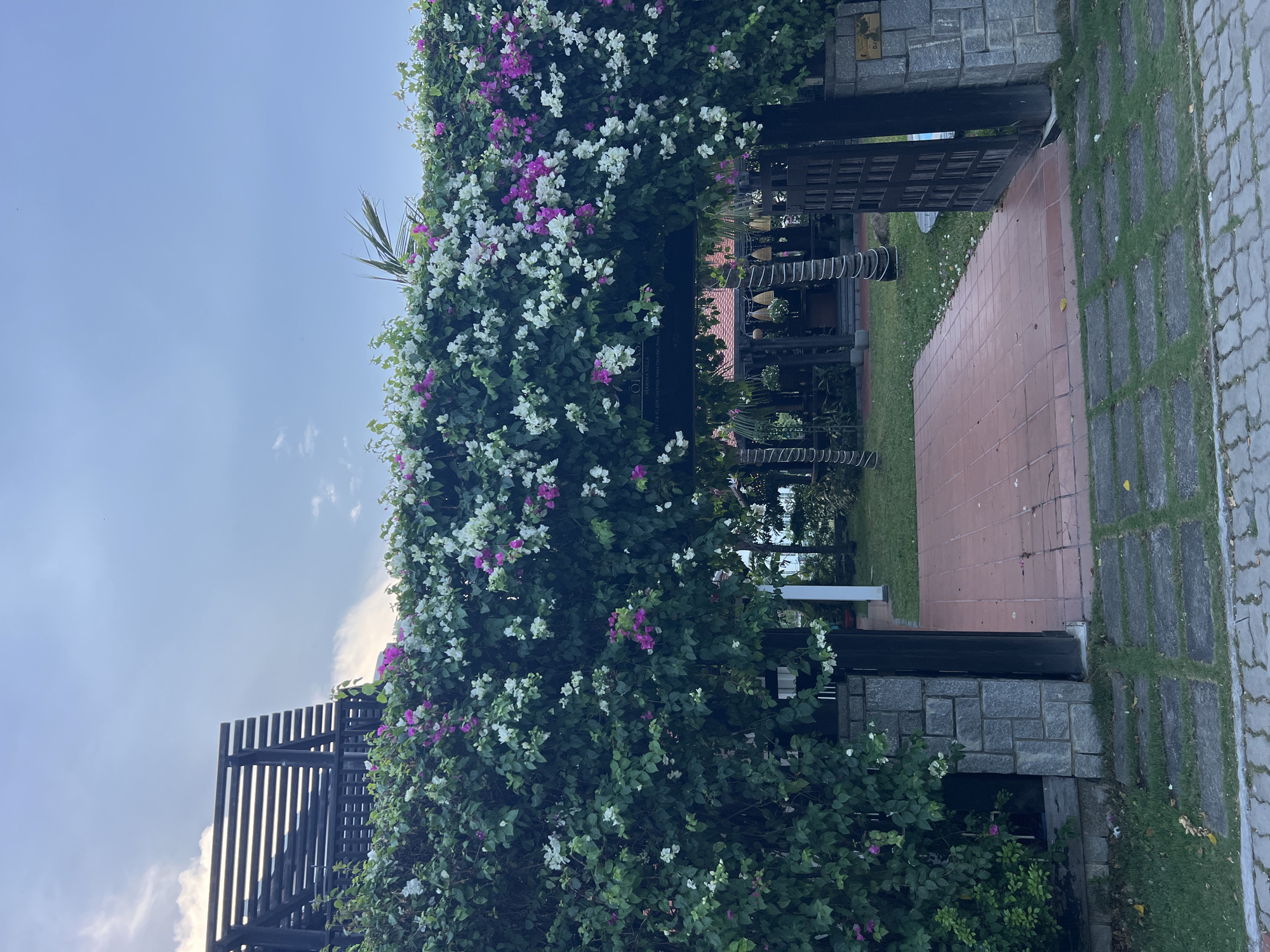 The image shows a foliage-covered structure in Nam Nha Trang Ward, Vietnam. The structure appears to be an archway or gate, made of dark wood or metal and stone. It is heavily overgrown with white and purple bougainvillea. The setting includes a pathway of red bricks and stone pavers. Grass is visible to the side of the path, and more foliage is seen through the archway. The sky is a pale blue, suggesting it is either morning or late afternoon. There are no people visible in the scene.