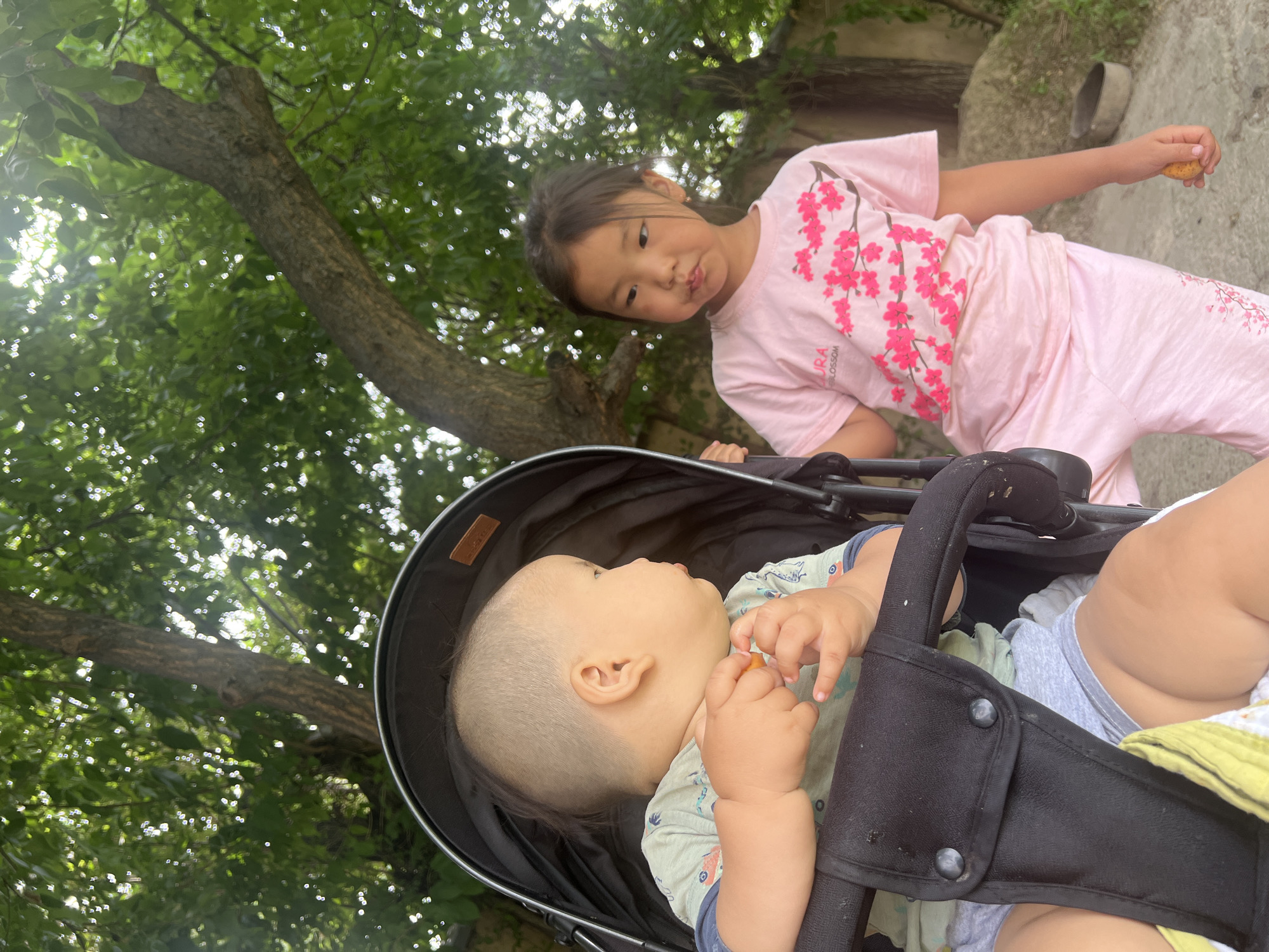 An overhead view captures a sunny day scene in Kara-Dıykan, Kyrgyzstan, where two young children are in an outdoor setting. In the foreground, a baby sits in a black stroller, dressed in a light green shirt with a dinosaur print and grey shorts. The baby holds a small orange object, possibly food, in its right hand. To the right of the stroller, a young girl stands, wearing a pink t-shirt adorned with a cherry blossom pattern and matching pink pants. She is looking towards the baby and also appears to be holding a small orange object in her right hand. The background is dominated by lush green foliage and a large tree trunk, suggesting a park or garden environment. The overall lighting indicates it is daytime.