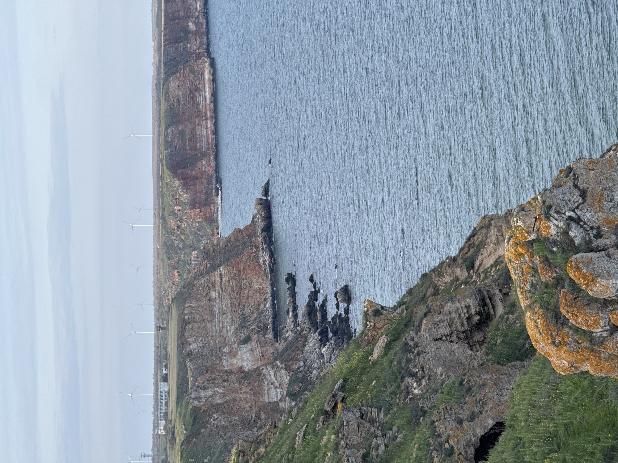 The image captures a coastal scene in Balgarevo, Bulgaria. A steep, rocky cliff plunges into the sea. The cliff is textured with layers of rock and patches of green vegetation. Lichen is visible on some rocks. In the distance, wind turbines line the horizon atop a plateau. The sea is calm and reflects the sky. Some rock formations jut out from the base of the cliff into the sea.