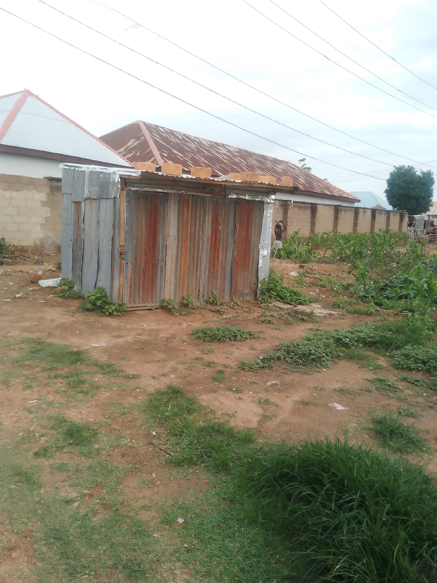 This media file depicts an outdoor scene in Jalingo, Nigeria, characterized by a rustic and somewhat unkempt environment. The primary focus is a small, weathered structure made of corrugated metal, appearing to be a shed or an outdoor toilet. Its metal panels show signs of age and rust, with some leaning inward, suggesting it may be unstable. A small padlock is visible on its door, indicating it is secured.
In the background, a brick wall marks a boundary, with more substantial buildings with corrugated metal roofs visible beyond. One of these buildings has a red-tinted roof, and another has a lighter, possibly grey, roof. Power lines stretch across the sky, hinting at the presence of electricity. To the right of the scene, a patch of green vegetation, possibly crops like corn, is growing, interspersed with dry earth and weeds. A person is partially visible near this vegetation, standing with their back to the camera and their arms raised. Further to the right, some vehicles and more greenery are present.
The ground in the foreground and middle ground is a mix of reddish-brown soil and patches of green grass. Scattered debris, such as a white plastic bag and some small, light-colored objects, are visible on the ground. The sky is overcast, suggesting a cloudy day, and there are no strong indications of a specific time of day beyond daylight hours. The overall impression is one of a functional, but not well-maintained, outdoor space in a semi-rural or residential area. No visible text is present in the image.