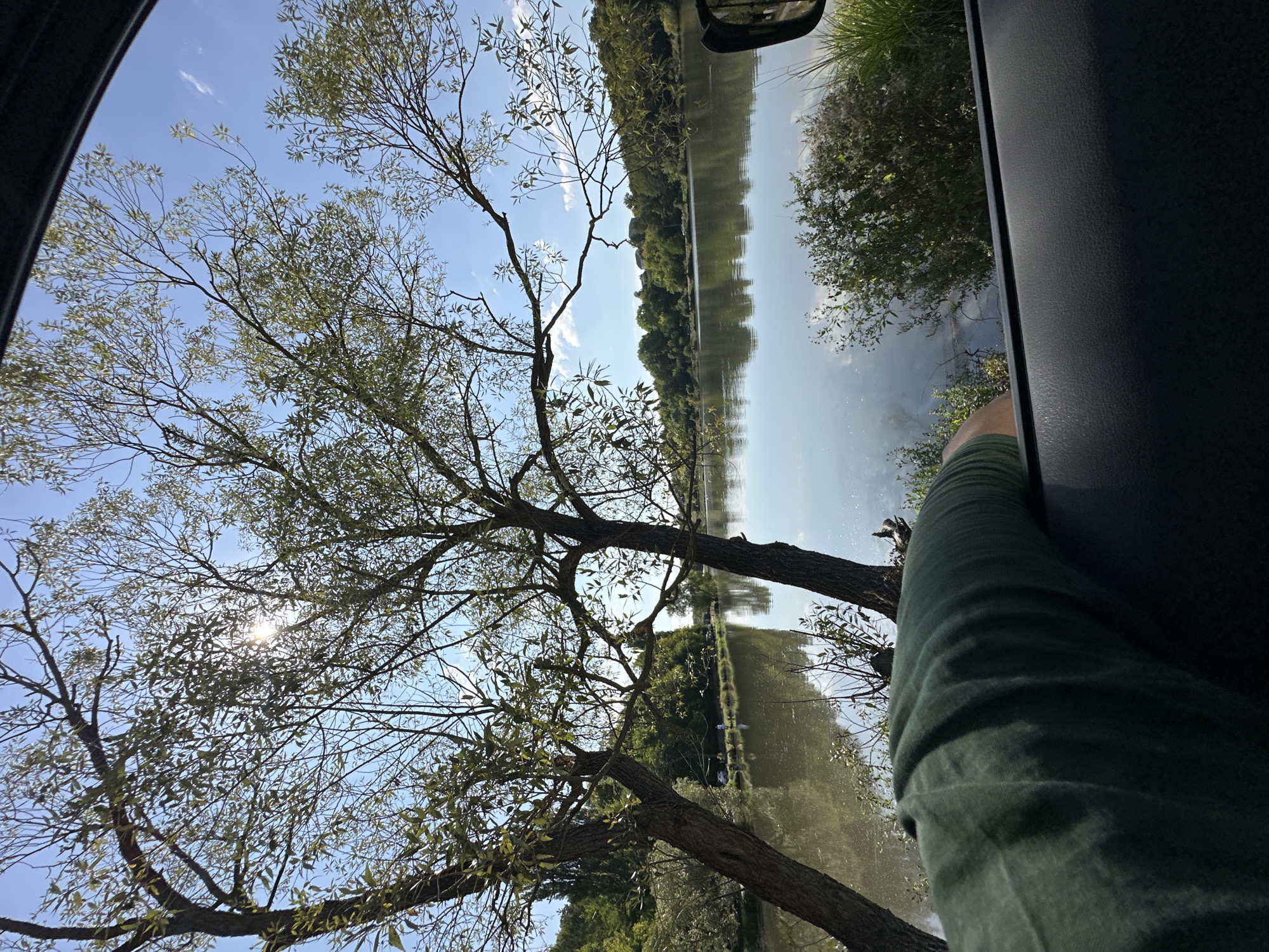 The image depicts a view from inside a vehicle, looking out towards a tranquil lake surrounded by lush green trees under a clear blue sky with scattered clouds. In the foreground, a person's arm, clad in a dark green long-sleeved shirt, rests on the car's interior panel, partially obscuring the view. The lake's surface is calm, reflecting the sky and the foliage. Two prominent trees with thin branches and sparse leaves frame the left side of the scene. In the distance, across the lake, a tree-lined shore is visible with a few scattered buildings and parked cars. The location is identified as Makiv, Ukraine, suggesting this scene is a natural landscape within or near the city.