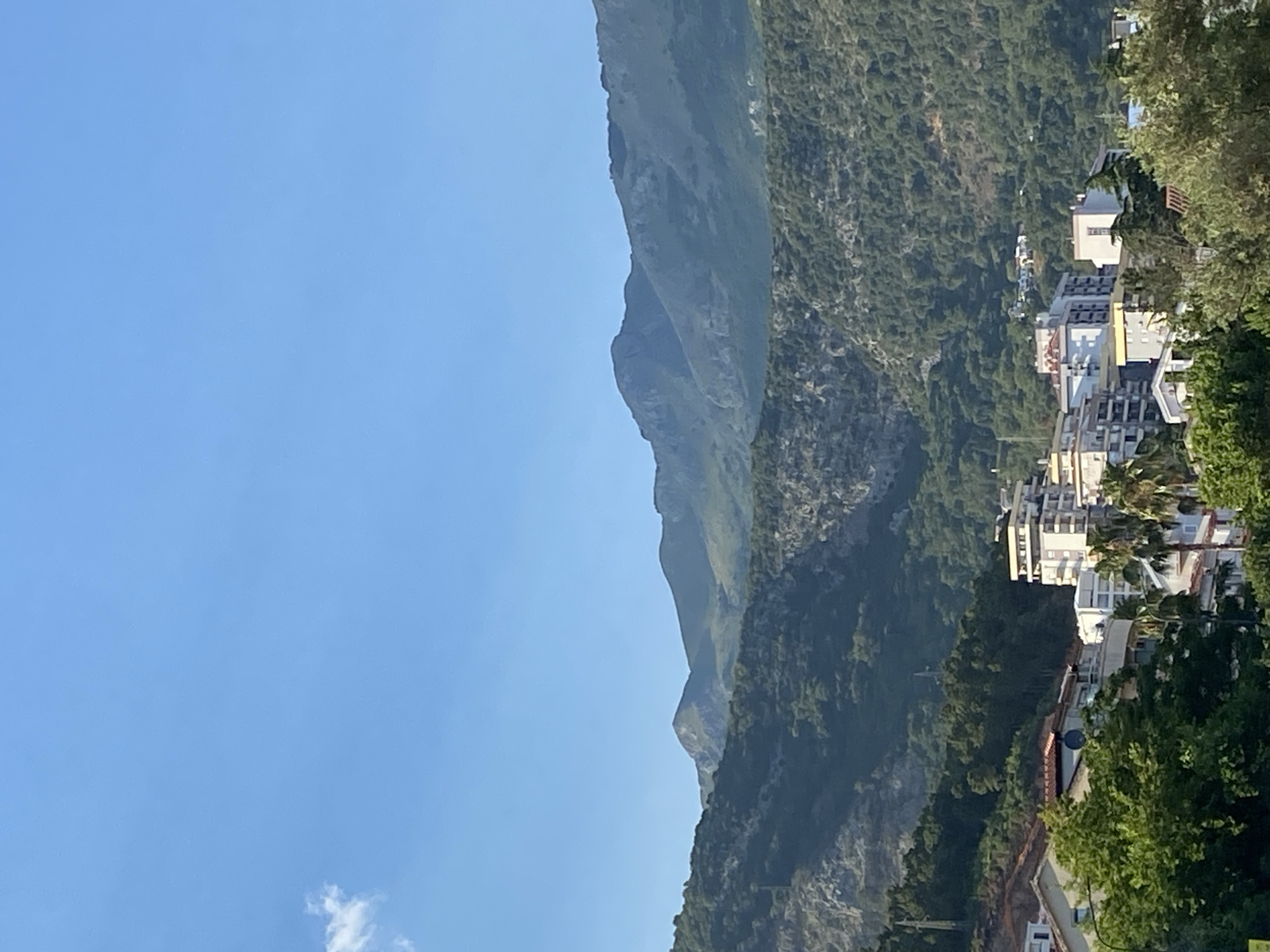 The image depicts a panoramic view of Budva, Montenegro, with the Adriatic Sea in the distance obscured by the foreground elements. The scene is dominated by lush green mountains that rise steeply behind the town. In the mid-ground, a cluster of multi-story buildings, characteristic of Mediterranean architecture, forms the urban landscape. These buildings are a mix of white and light-colored facades, with some featuring balconies and red-tiled roofs. Palm trees are visible among the buildings, adding to the tropical feel. The foreground is occupied by more residential buildings and dense green foliage, suggesting the town is nestled at the foot of the mountains. The sky is a clear, bright blue with a single, wispy white cloud on the left side of the frame. The lighting suggests it is a sunny day, possibly late morning or early afternoon, with the sun casting subtle shadows. There are no people or discernible actions taking place in the image; it is a static landscape composition.