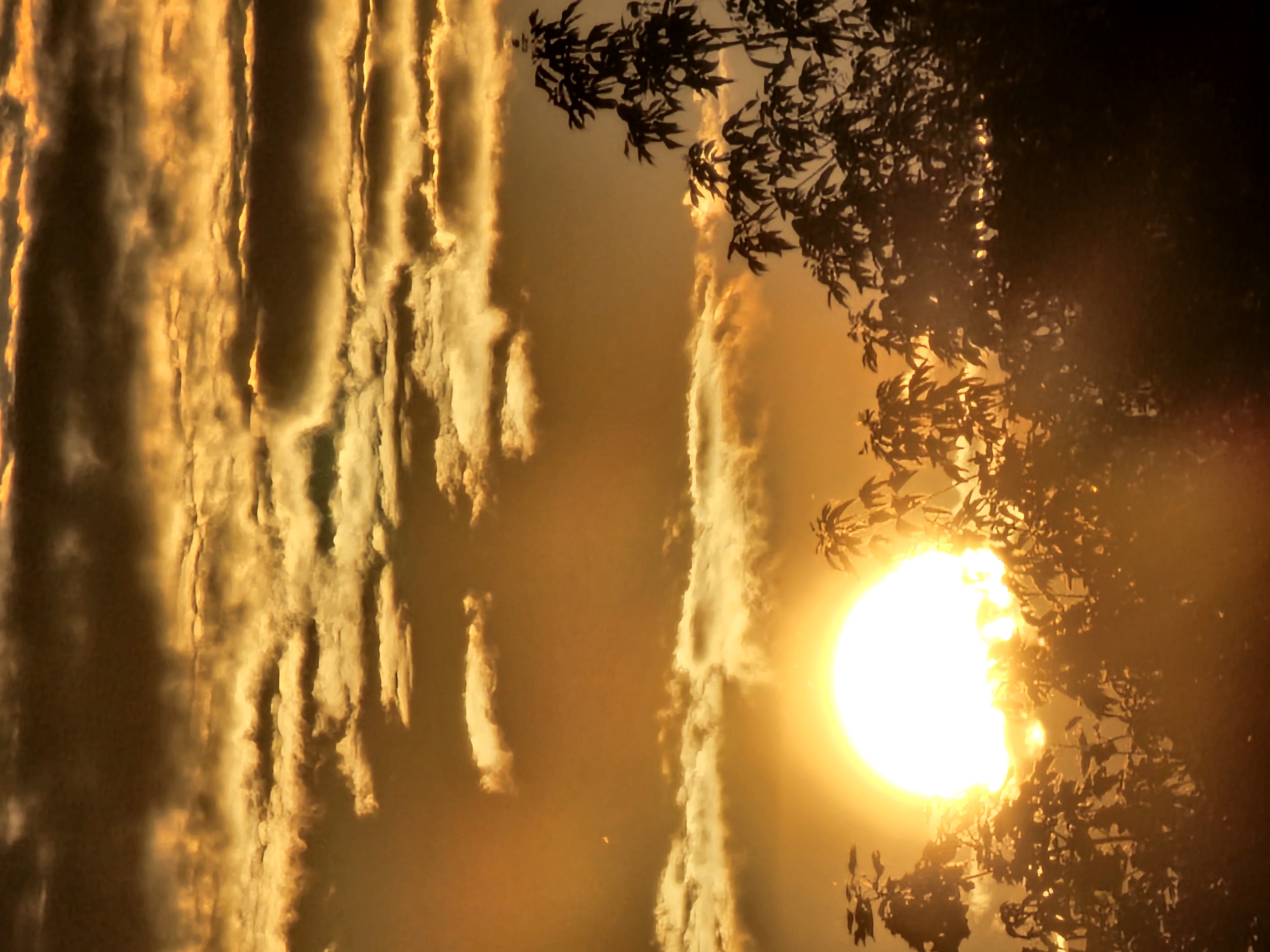 An over-the-shoulder shot captures a vibrant sunset over Khimki, Russia. Silhouetted trees and foliage in the foreground frame a resplendent sun peeking through layers of textured, golden clouds. The sun's intense glow creates a halo effect, illuminating the scene with warm, amber hues.