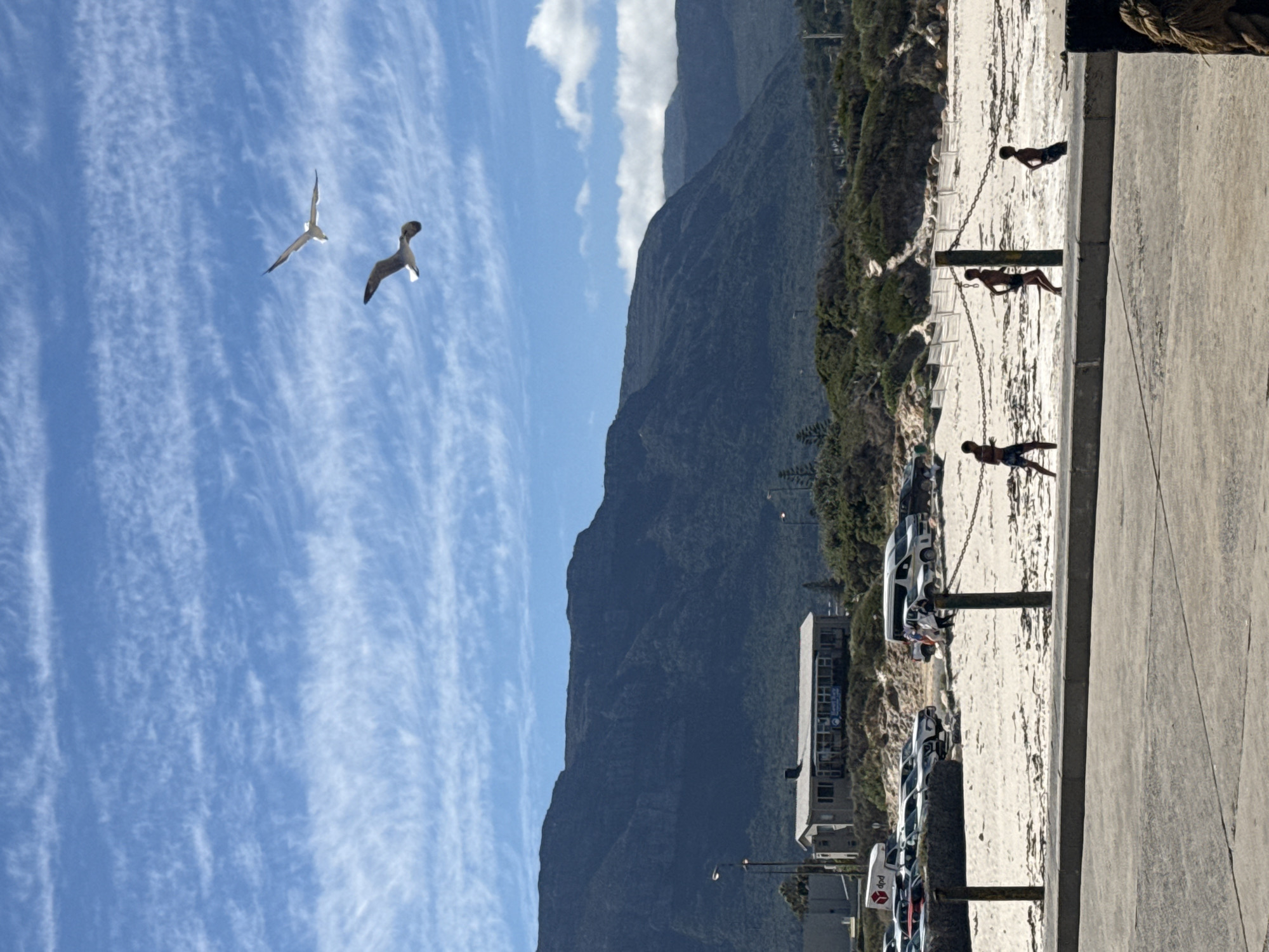 The image captures a scenic view in Hout Bay, South Africa. The frame includes two seagulls soaring against a blue sky with streaky clouds. To the right, a mountain range looms over a coastal area. Closer to the foreground, a sandy beach is seen, bordered by a concrete walkway with several people standing on the beach. Cars are parked along the edge of the beach. The buildings are also visible, situated between the beach and the mountain.
