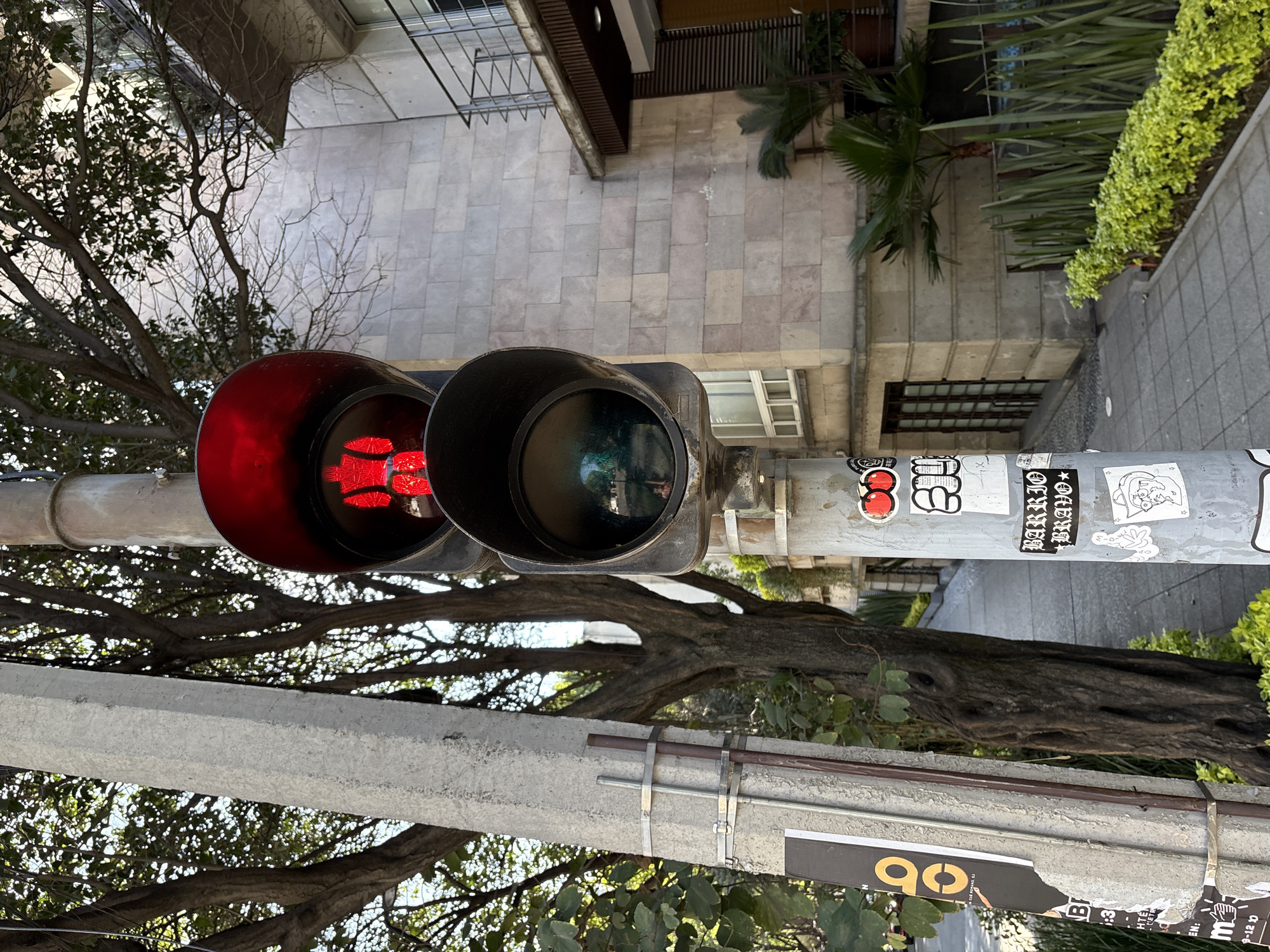 The image depicts an urban street scene in Mexico City, Mexico, centered on a pedestrian traffic light mounted on a grey metal pole. The top lamp of the traffic light displays a lit red "don't walk" signal, showing a stylized human figure with arms extended downwards. The lower lamp is unlit, featuring a green lens that reflects surrounding foliage and a faint human figure.
The metal pole supporting the traffic light is heavily adorned with various stickers, including a prominent black and white "BARRIO BRAVO" sticker and a red boxing gloves motif. To the left, a light grey concrete utility pole, secured with metal bands, is partially visible, featuring a torn black poster with yellow text, including "90".
The background on the right features a multi-story building constructed with light grey, rectangular stone blocks, presenting dark-framed windows and a balcony with a black metal railing. Below the building, dense green foliage, including palm-like plants, is present. A grey paved sidewalk extends into the background on the left and center, bordered by a low, well-maintained hedge of bright green plants. Numerous mature trees with both full green canopies and bare branches frame the upper and left portions of the scene. The lighting indicates bright daylight. No individuals are actively present or engaged in any direct interaction within the frame.