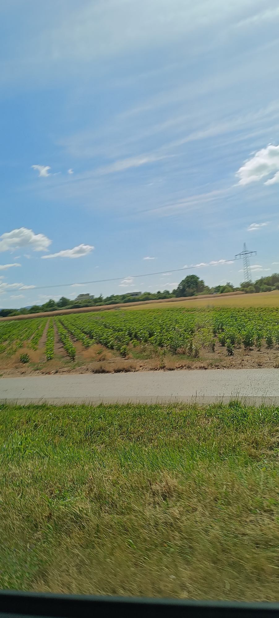 The image depicts an agricultural field in Waiblingen, Germany, under a partly cloudy blue sky. A road runs horizontally across the foreground, bordered by a strip of green grass. Beyond the road, a vast field of green crops, planted in neat rows, stretches into the distance. In the background, a power line tower stands tall amidst trees and fields of dry, golden crops. A few indistinct buildings are visible on a gentle slope in the far background. The scene appears to be a rural landscape, possibly captured from a moving vehicle due to the motion blur present in the foreground grass. There are no people or animals visible in the image.