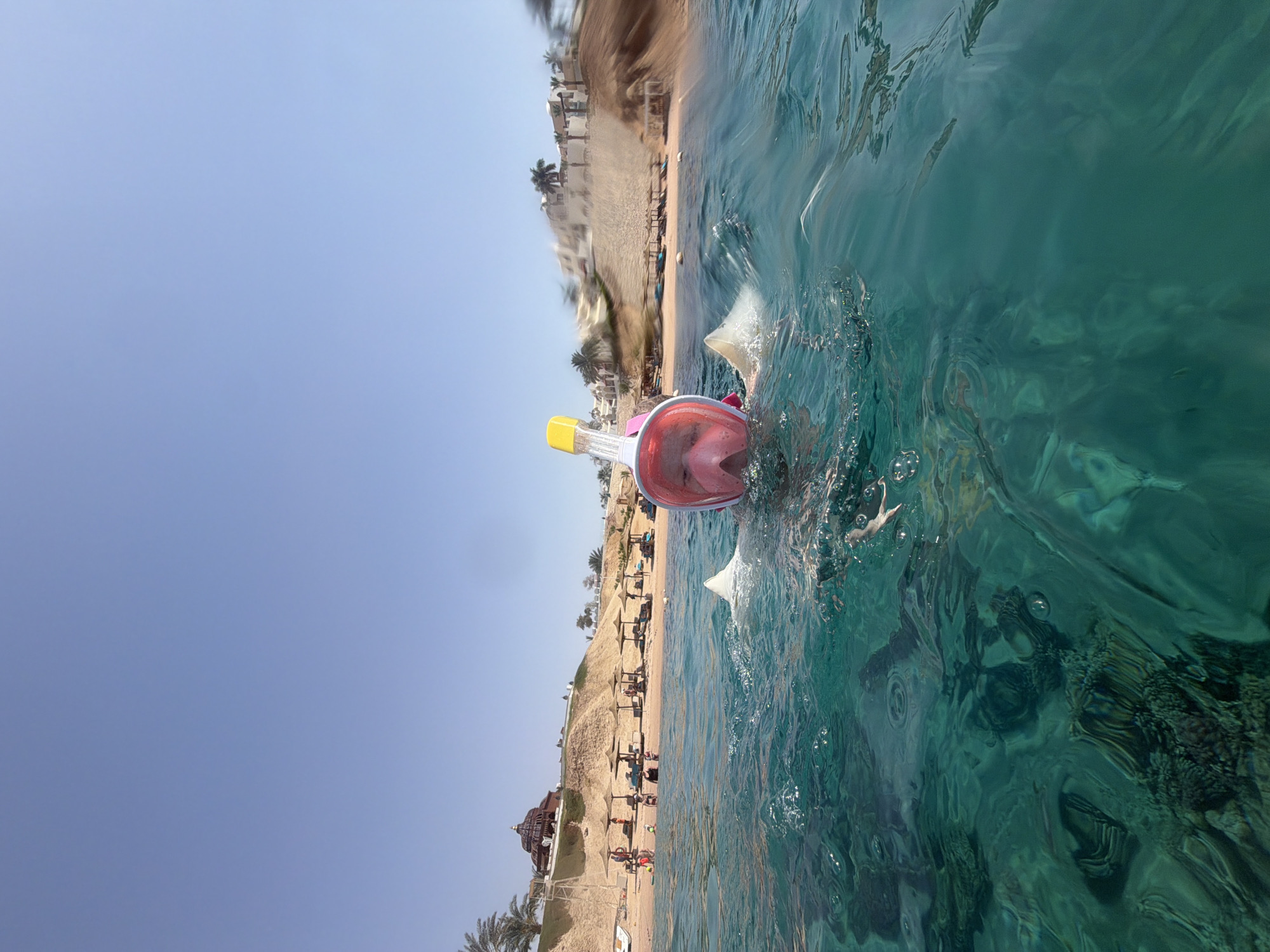 This vibrant image captures a person enjoying a snorkeling activity in clear turquoise waters, likely in Sharm El Sheikh, Egypt. The main subject is a person wearing a distinctive pink and yellow full-face snorkeling mask, with their head and the upper part of the mask visible above the water's surface. Splashes and bubbles surround the mask, suggesting active movement in the water.
The water is remarkably translucent, revealing a rich tapestry of deep teal and green hues, with visible underwater coral formations or rocks below. In the background, a sunny coastal scene unfolds. A wide sandy beach, equipped with numerous beach umbrellas and sun loungers, stretches along the shore. Behind the beach, resort buildings with varying architectural styles are nestled against sandy cliffs or hills. Several palm trees are interspersed throughout the landscape, enhancing the tropical atmosphere.
The time of day appears to be bright daytime, under a vast and clear light blue sky. The weather is sunny and calm, typical for a vacation destination. The perspective is taken from water level, offering an immersive view that bridges the underwater experience with the beautiful shoreline. No visible text is present in the image.