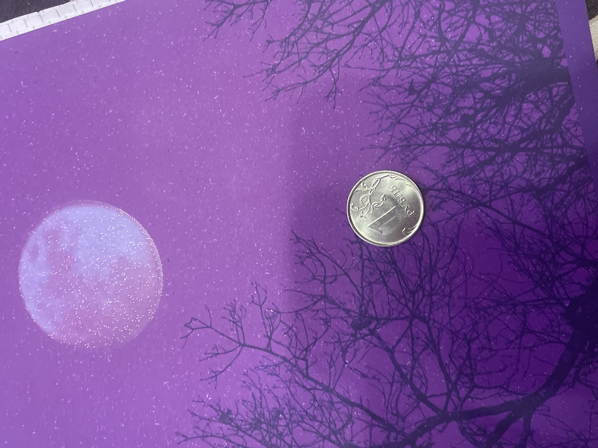 A Russian one-ruble coin is placed on a purple surface with a glittery moon and silhouetted bare tree branches. The coin is silver and features the number "1" and the inscription "РУБЛЬ" (ruble) in Russian. The background has a starry effect. There are no people or actions depicted. The location of Antonovka, Russia, is not discernible from the image.