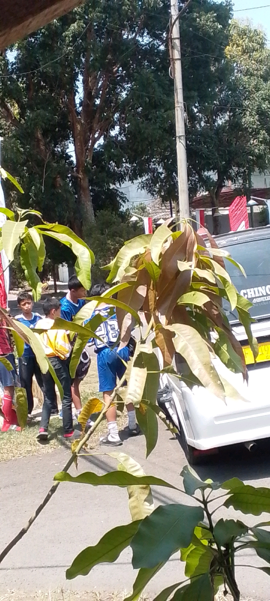In Cilaku, Indonesia, a group of young boys, likely students, are gathered outdoors on a sunny day. They are dressed in casual clothing, with some wearing athletic attire. The setting appears to be near a street, with a sidewalk or path visible. In the background, lush green trees provide shade, and a utility pole stands tall. A white car is parked nearby, with a partial view of its rear end. Decorative red and white banners are displayed along the street, suggesting a local event or celebration. The focus of the image is on the boys and the surrounding environment, capturing a candid moment of everyday life in the city.