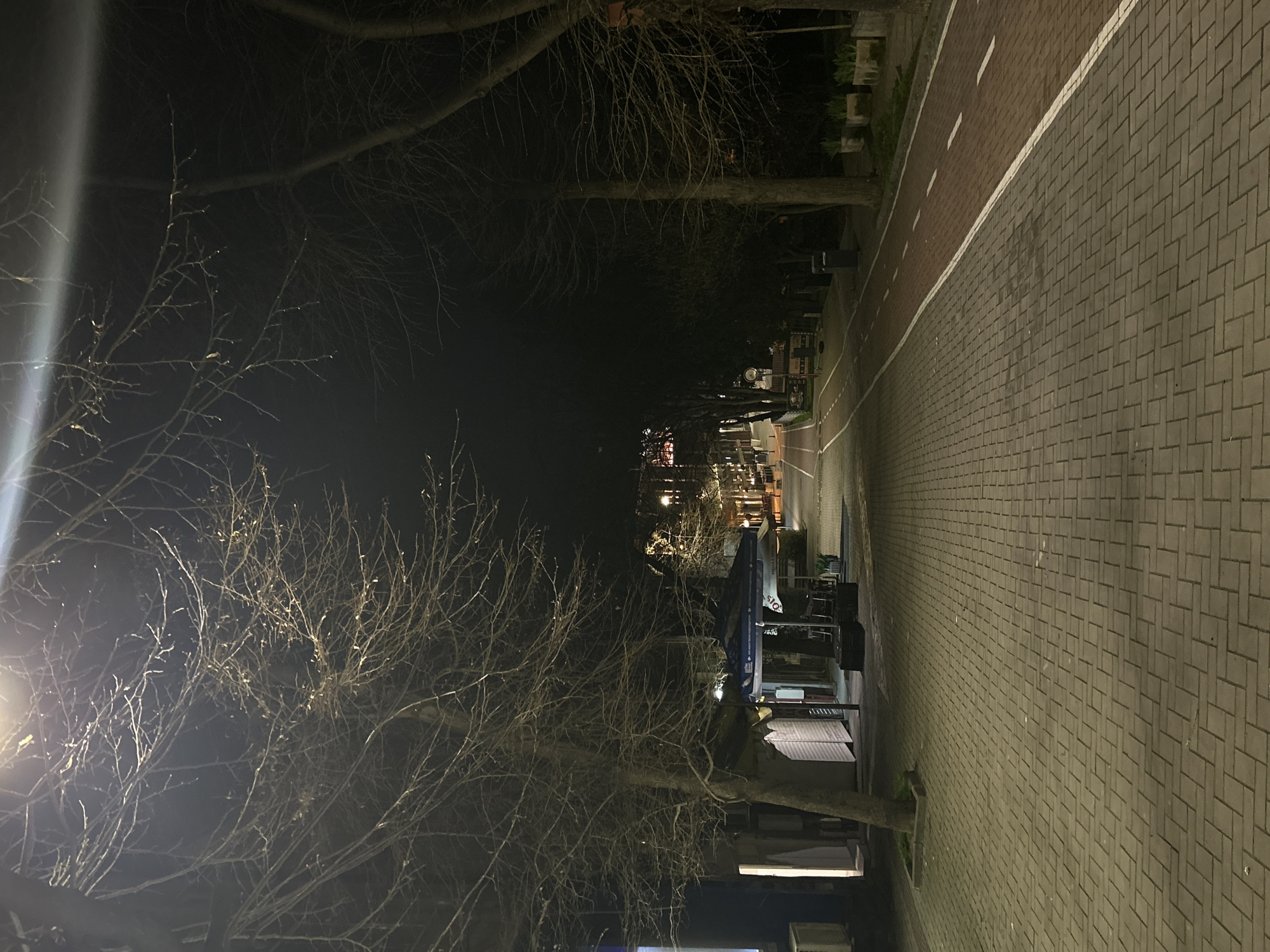 The image depicts a nighttime scene on a street in Varna, Bulgaria. The perspective is ground-level, facing forward on a paved sidewalk. The sidewalk extends towards the distance, lined with trees, primarily bare branched structures with minimal foliage. A distinct red-colored section runs along the sidewalk, separated by a white line, presumably a designated bike path.
Streetlights illuminate the scene, casting light on the sidewalk and trees. In the middle ground, a structure of some type is visible, possibly a vending stall. Behind it, in the distance, additional lights and blurred shapes suggest the presence of buildings or other infrastructure. No people are clearly visible, but faint dark shapes in the midground may indicate human presence at a distance.
The pavement is composed of interlocking rectangular blocks. The overall atmosphere is dimly lit and quiet, typical of a nighttime street scene. No actions or interactions are evident.