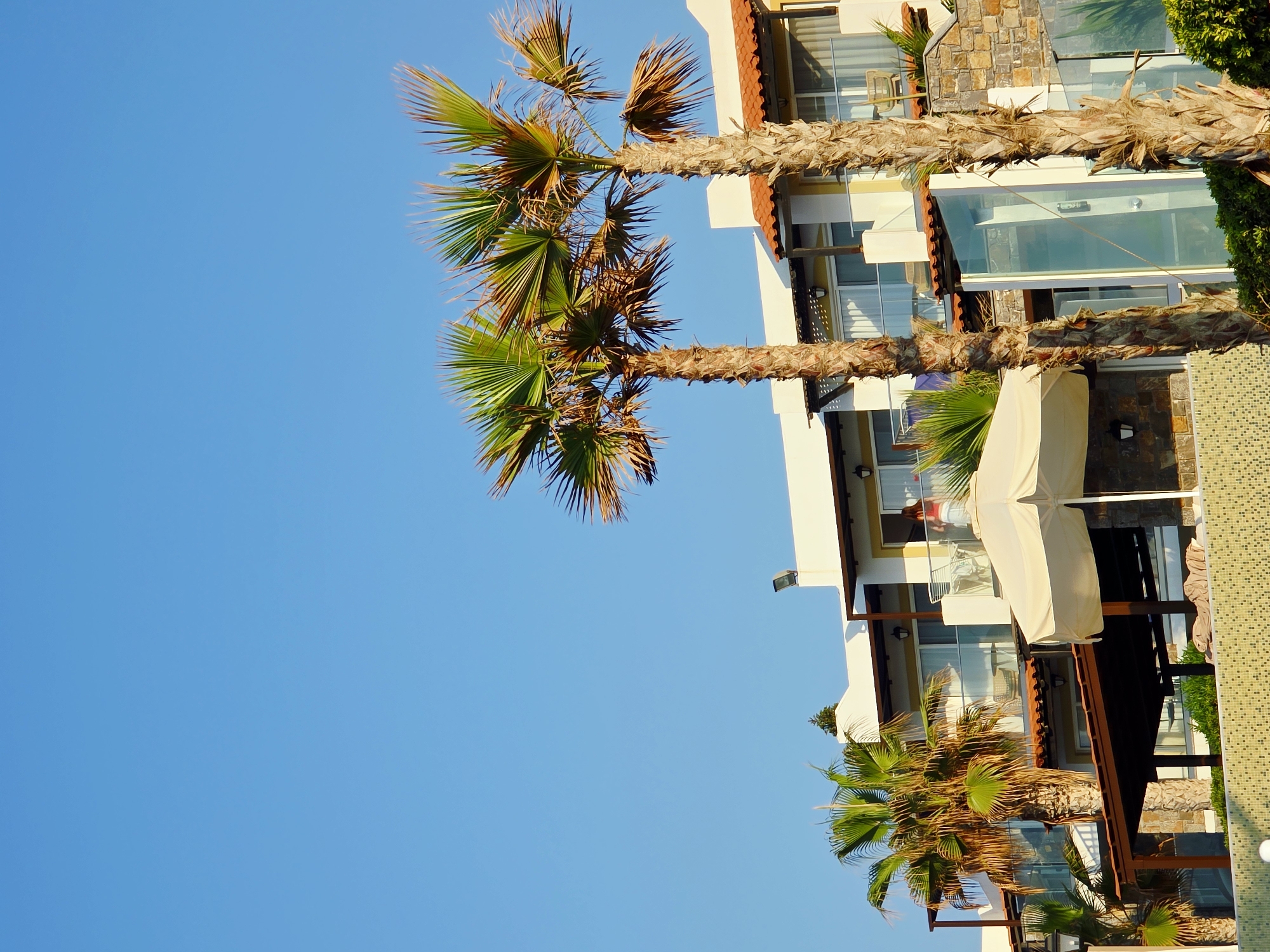 This is a daytime, medium-shot, vertical-format photograph of a hotel or resort building with palm trees in front of it, set against a clear blue sky. The building features multiple levels, with white walls, orange tiled roofs, and balconies with glass railings. Some rooms have large windows, and a woman in a red top and white skirt is visible on an upper balcony. Two prominent palm trees stand in the foreground, with their fronds reaching towards the sky. In front of the building, a cream-colored umbrella is set up. The lower portion of the image shows a patterned wall and lush green foliage. The overall scene suggests a warm, sunny, tropical or Mediterranean climate, consistent with a location like Malia, Greece.