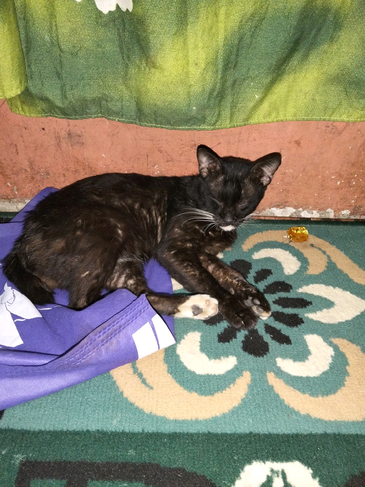A black cat is lying on its side on a patterned rug, with its eyes closed. The cat is partially covered by a folded purple cloth. In the background, a green curtain with a floral pattern hangs over a reddish-brown wall. A small piece of gold foil is visible near the cat's head. The scene appears to be indoors, possibly in a residential setting.