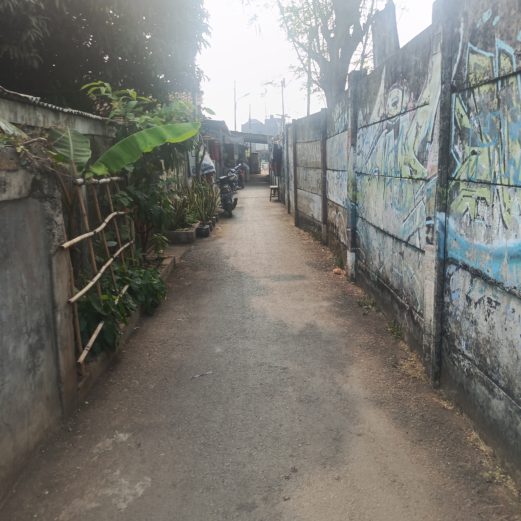 The image shows a narrow, paved alleyway in a dense urban area, likely a residential or commercial district in South Jakarta, Indonesia. The alley is flanked by two walls. On the left, a low concrete wall is partially covered by lush green vegetation, including large banana leaves and smaller plants in planters. A rustic bamboo fence is visible against this wall. On the right, a tall, imposing concrete wall is extensively covered with graffiti in various colors, primarily blues, greens, and yellows. The wall appears to be segmented into large rectangular panels.
The alleyway itself is paved with asphalt and shows signs of wear, with scattered small stones and debris. Towards the background, the alley opens slightly to reveal more buildings and structures, including what appear to be small shops or dwellings. Several motorcycles are parked along the left side of the alley, near the entrance to these buildings. One person, dressed in dark clothing, is partially visible near the motorcycles, appearing to be interacting with one of the bikes. Another person, also in dark clothing, is seen further down the alley standing near a wooden stool.
The lighting suggests it is daytime, with bright, slightly hazy sunlight casting soft shadows. The overall impression is one of a busy, somewhat weathered, and lived-in urban environment characteristic of many areas in South Jakarta.