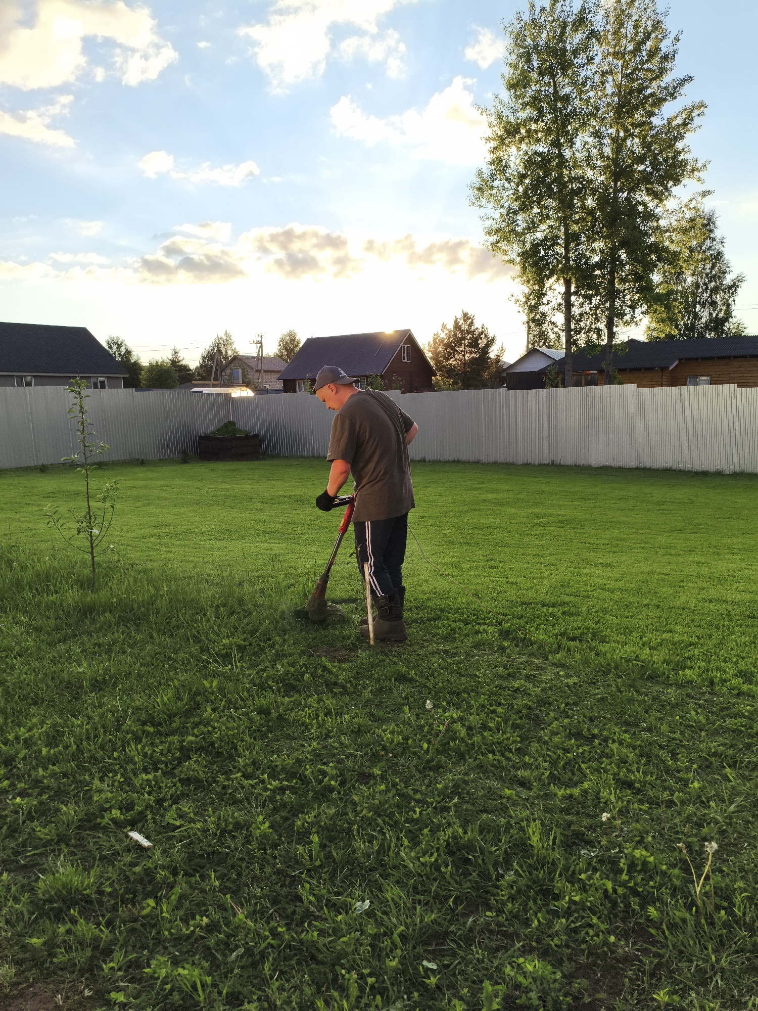 An outdoor scene captured during the golden hour, likely late afternoon or early evening, shows a man operating a string trimmer in a large grassy yard. The man, wearing a grey t-shirt, dark pants with white stripes, a baseball cap, and work boots, is focused on trimming the taller grass around the edges of the manicured lawn. He wears gloves on both hands while holding the red and black trimmer.
The setting appears to be a residential area in Русский Вожой, Russia, with several houses visible in the background, featuring dark roofs and varying architectural styles. A tall, corrugated metal fence separates the yard from the neighboring properties. Behind the fence, trees with lush green foliage stand tall, some silhouetted against the bright sky, indicating the sun's low position. The sky is bright blue with scattered, fluffy white clouds, and the sun casts a warm, golden glow across the scene, creating lens flare near the horizon and illuminating the clouds from below.
In the foreground to the left, a small sapling, possibly an apple tree, stands alone in the grass. Further back in the yard, a dark, raised garden bed is visible, filled with freshly cut grass. The yard itself is predominantly covered in vibrant green grass, with some areas appearing recently trimmed and others still needing attention. No visible text is present in the image.
