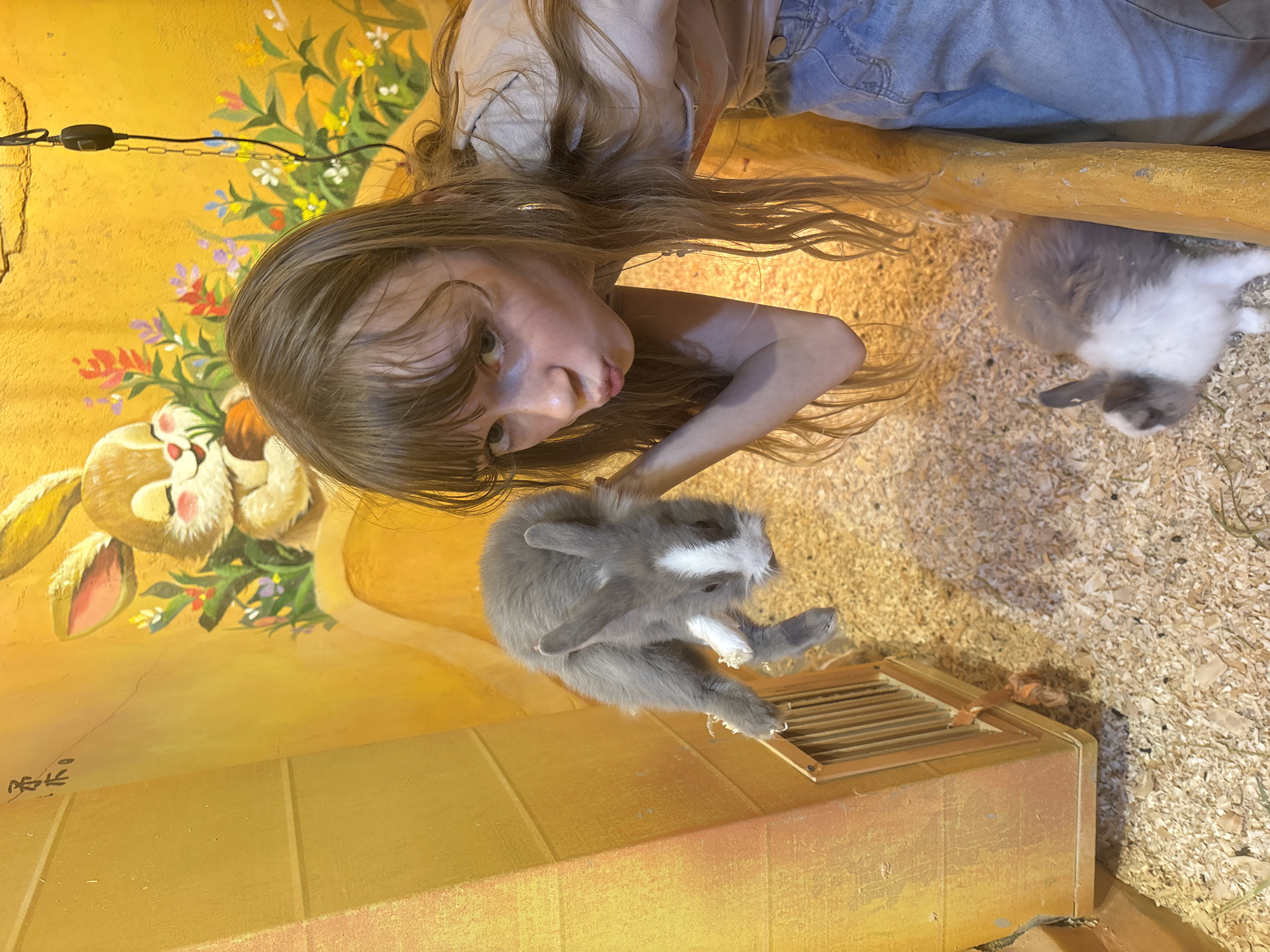 A young girl with long, light brown hair and bangs is leaning towards the camera, making a puckered face. She is wearing a light-colored t-shirt and blue denim jeans. She is holding a small, grey and white baby rabbit in her left hand, which is suspended in the air. Another baby rabbit, grey and white, is visible on the ground to the right of the girl. The environment appears to be an enclosure with wood shavings on the floor, likely a petting zoo or animal exhibit. The background features a yellow wall with a mural of a cartoon rabbit and flowers. The scene is indoors and brightly lit. The location is specified as Tianhe District, China.
