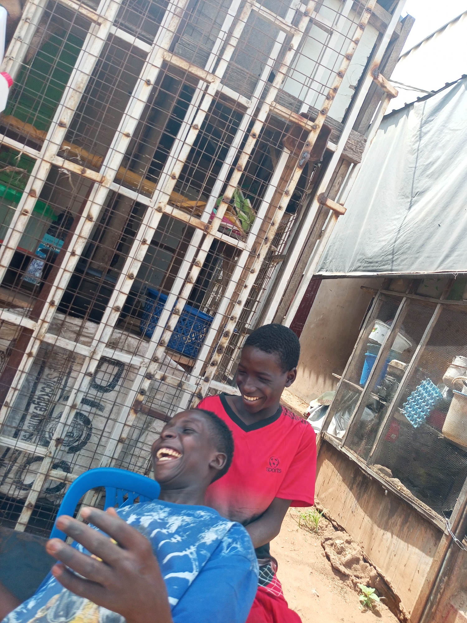 Two young boys are laughing outside in a rustic, outdoor setting. One boy, wearing a blue t-shirt with a white abstract pattern, is seated in a bright blue plastic chair, his head thrown back in laughter and his right hand raised. The other boy, wearing a red t-shirt with a black collar and a small logo on the left chest, stands behind and to the right of the seated boy, also laughing heartily, with his mouth open and eyes squinted.
The background is dominated by a large, weathered metal structure with a grid pattern, possibly part of a fence or a window covering, which appears rusty in places. Behind this structure, there's a white tarp or fabric covering a roof or wall. The ground beneath them is dirt with some sparse green vegetation. In the middle ground, there are some containers and items visible through the metal grate, including blue crates and what appears to be a white bucket. The overall impression is one of a casual, sunlit outdoor space in a possibly developing or rural area.