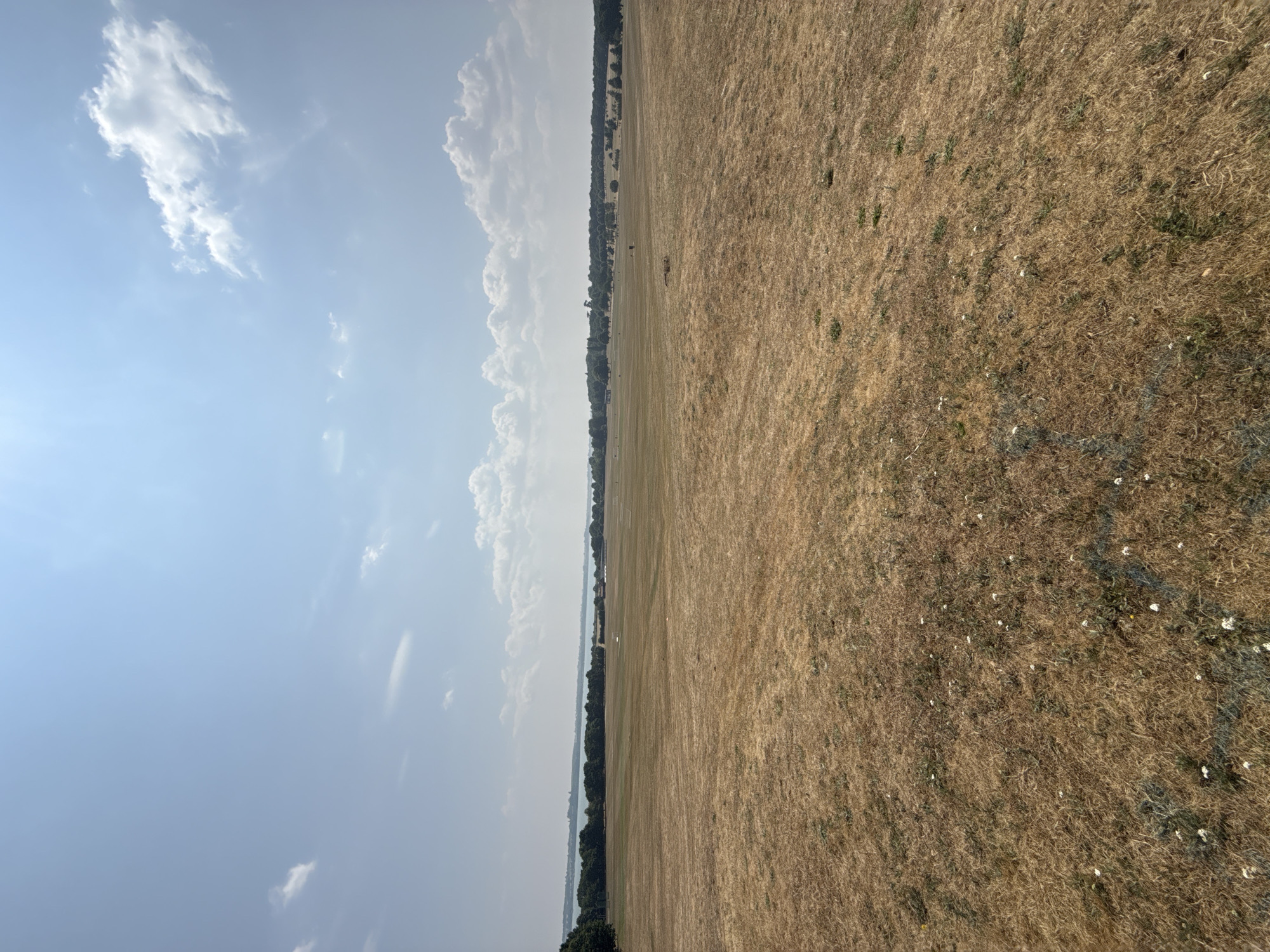 The image depicts a wide, sun-baked grassy field in Ipswich, United Kingdom. The grass is predominantly a dry, golden-brown color, indicating a period of drought or a dry summer. Scattered throughout the field are sparse patches of green vegetation and small white flowers, with shadows cast by unseen objects or undulations in the terrain.
In the middle ground, a line of trees forms a dark green border against a hazy blue sky. Beyond the trees, a body of water, likely the River Orwell, is visible, with a distant, low-lying landmass or coastline on the other side. The sky above is a pale blue with scattered white clouds, some appearing wispy and others more defined, with the sun appearing as a bright, washed-out area in the upper left quadrant. There are no people or animals visible in the scene. The overall impression is one of an open, expansive landscape under a bright, clear sky.