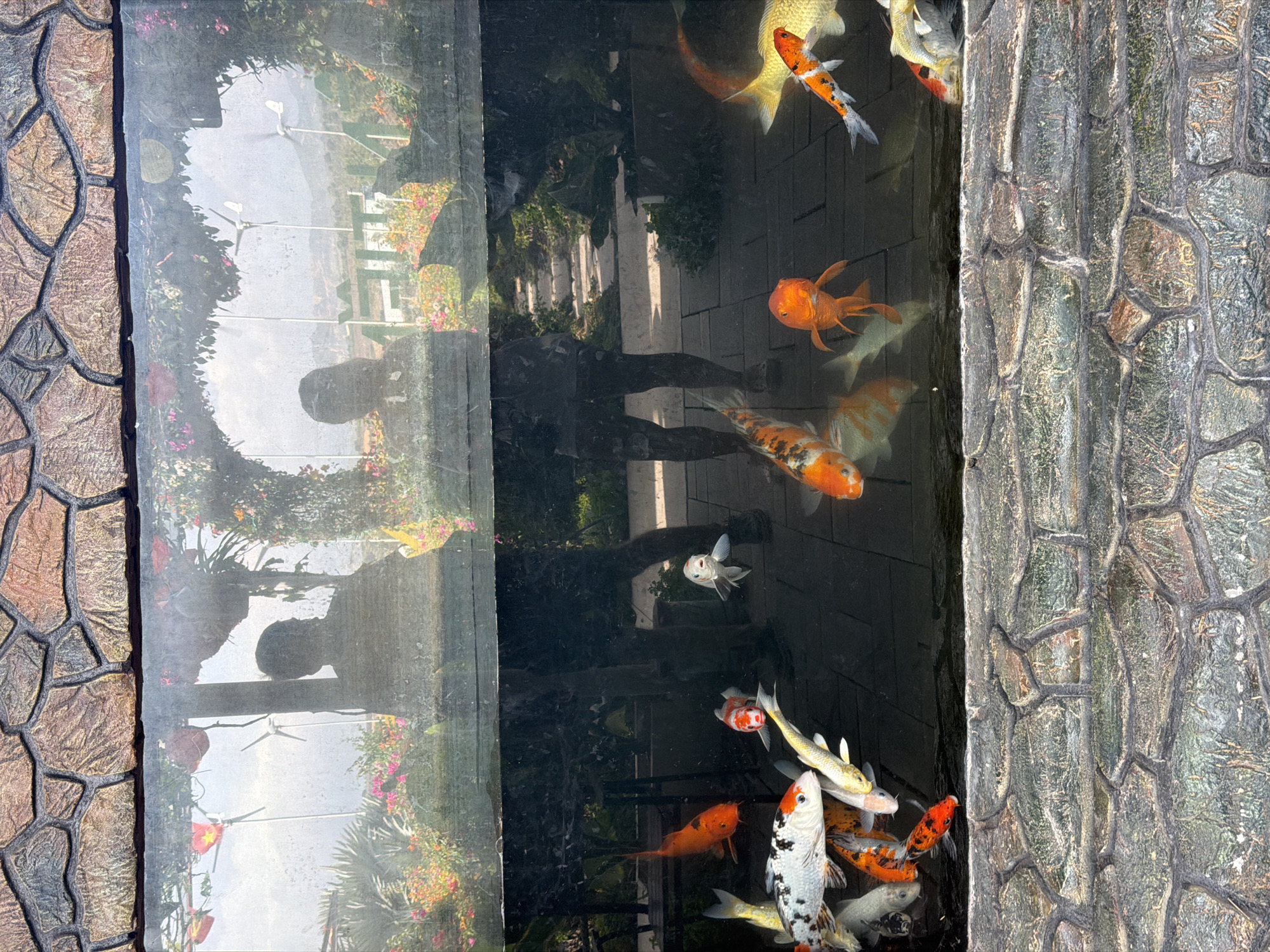 This top-down image captures a vibrant pond filled with numerous colorful Koi and goldfish in Phước Hải, Vietnam. The water's surface acts as a strong mirror, reflecting the bright, sunny outdoor environment above.
Many fish are visible, varying in size and color, including bright orange, white, gold, and black-spotted patterns. They appear to be swimming freely within the dark water of the pond.
Prominently featured in the reflections on the water are the silhouettes of two human figures: a larger one, likely an adult holding a camera or phone to take the picture, and a smaller one, possibly a child, standing adjacent. The reflected surroundings reveal a lush garden or park setting with abundant green foliage, flowering plants bearing pink and red blossoms, and architectural elements such as a fence or railing. Slender poles or stakes, perhaps part of trellises or garden structures, are also discernible in the reflection. The ground in the reflected area appears to be paved or tiled.
The pond is bordered by decorative, textured edges designed to mimic natural stone. The left border displays a mosaic of brown and tan hues with dark grout lines, while the right border is composed of grey and green tones with similar irregular grout. The clear, bright reflections indicate a sunny daytime setting. No visible text is present in the image.