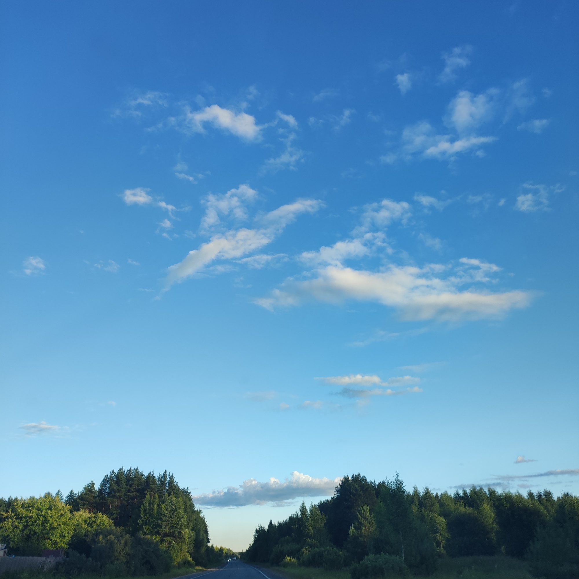 The image depicts a clear blue sky with scattered white clouds, suggesting fair weather. Below the sky, a dense line of green trees stretches across the horizon, forming a natural border against the sky. The trees appear to be a mix of coniferous and deciduous varieties, with the darker, more pointed shapes of pine trees interspersed with the fuller, rounded forms of other trees. The foliage is vibrant and lush, indicating a time of year when vegetation is in full growth, likely late spring or summer.
In the foreground, a paved road is visible, curving gently towards the distant horizon. The road appears to be a highway or a major country road, with visible lane markings. A few distant vehicles can be spotted on the road, suggesting it is a route actively used for travel. The overall scene evokes a sense of peaceful journey or scenic drive through a rural or semi-rural landscape.
The lighting suggests it is either early morning or late afternoon, as the sun is low in the sky, casting a soft glow on the scene and creating some subtle shadows. The color palette is dominated by the bright blue of the sky and the varied greens of the trees, creating a refreshing and natural visual. There is no visible text in the image. The setting appears to be a natural landscape with a road cutting through it, likely in a region with abundant forests. The Kineshma, Russia location context suggests a temperate climate.