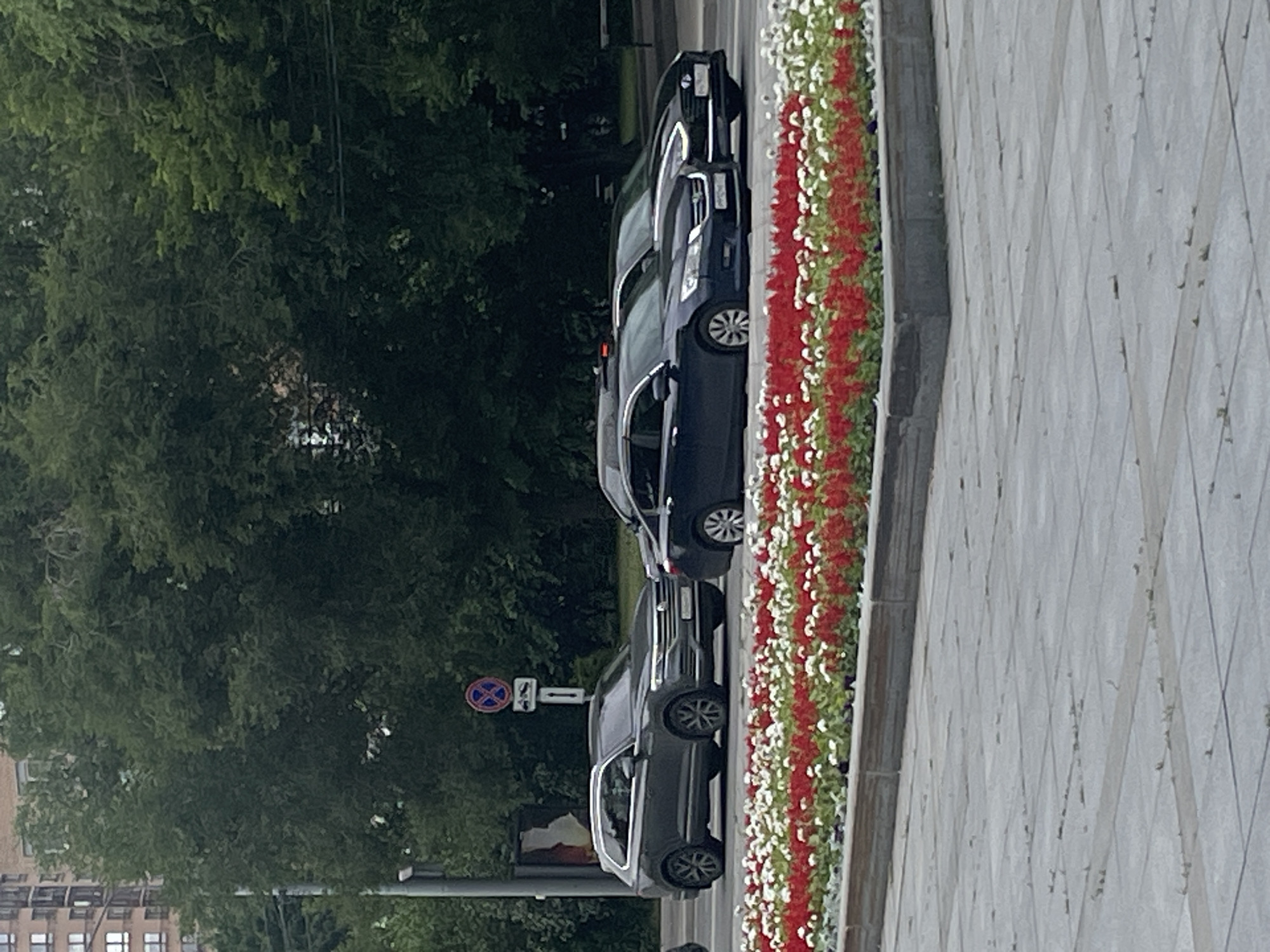 The image shows a row of cars parked on a street in Moscow, Russia. The cars are parked alongside a sidewalk with a colorful flowerbed. The flowerbed contains red and white flowers, creating a vibrant border. Behind the cars, there are lush green trees, suggesting a pleasant, possibly spring or summer day.
The cars are dark in color, and some appear to be sedans. The image is oriented vertically, and the cars are seen from the side. One of the cars has a traffic sign next to it, which appears to be a prohibitory sign with a blue circle and a red diagonal cross, possibly indicating "No stopping" or "No parking". There's also a smaller rectangular sign below it.
The ground next to the flowerbed is paved with light-colored, patterned tiles, possibly granite or concrete, arranged in a diamond pattern. The overall scene depicts a typical urban streetscape, with elements of nature (trees and flowers) contrasted with infrastructure (cars and pavement). The lighting suggests it might be daytime, with diffused light, possibly indicating an overcast sky. There are no people clearly visible in the image.