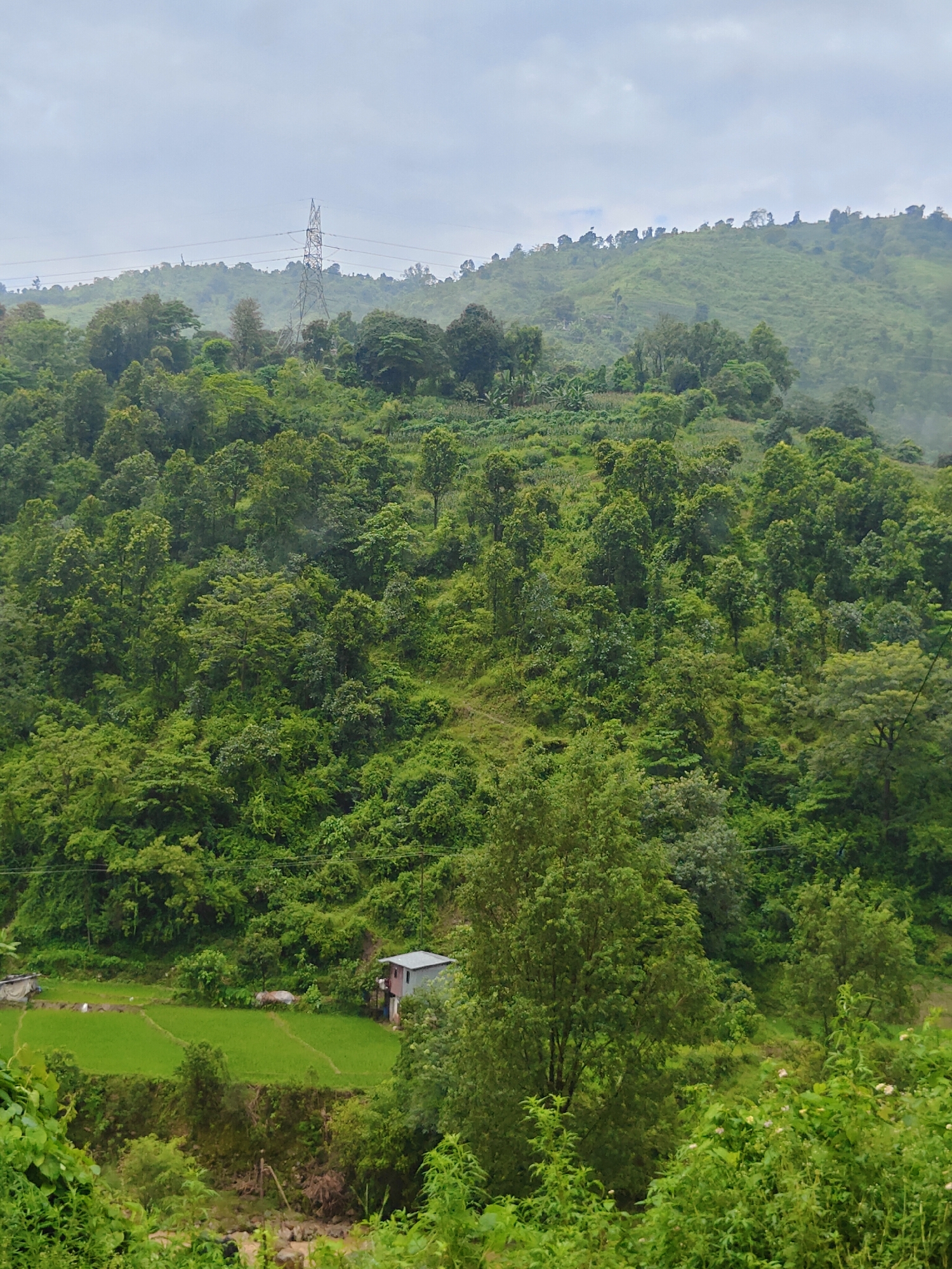 The image depicts a verdant, hilly landscape in Thakre, Nepal. The foreground is dominated by lush green vegetation, with a clear division of a bright green paddy field in the mid-ground. A small, simple building with a dark roof and white walls is situated to the right of the paddy field. Further into the background, a steep, tree-covered hill rises, topped by a transmission tower and power lines, suggesting the presence of electrical infrastructure. The sky is overcast with clouds. The scene is natural and rural, with no people or animals visible.