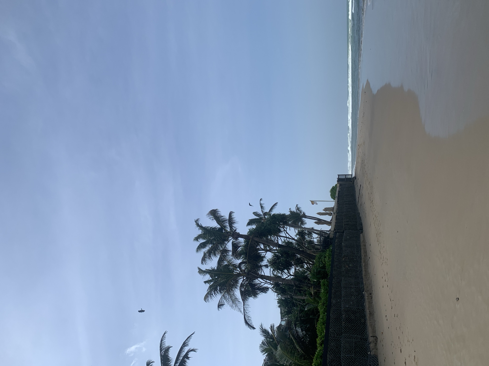 The image depicts a serene beach scene in Kathaluwa, Sri Lanka. The foreground is dominated by a wide expanse of light brown sand, marked with numerous footprints, indicating recent human activity. The sand transitions into the shallow, calm waters of the ocean on the right side of the frame, reflecting the clear, pale blue sky above.
Along the left side of the beach, a dark, wire-mesh fence runs horizontally, separating the sand from a lush green area. Behind the fence, several tall palm trees with characteristic fronds reach towards the sky. Among the palm trees, glimpses of buildings and closed beach umbrellas can be seen, suggesting a resort or hotel. The vegetation is dense and tropical.
The sky is a vast, unobstructed pale blue, with a few wispy white clouds scattered towards the left side. Two birds are visible in flight; one, a dark silhouette, is in the upper left quadrant of the sky, and another, smaller dark shape, is closer to the palm trees in the middle left of the image. The overall atmosphere is peaceful and tranquil, characteristic of a tropical beach environment.