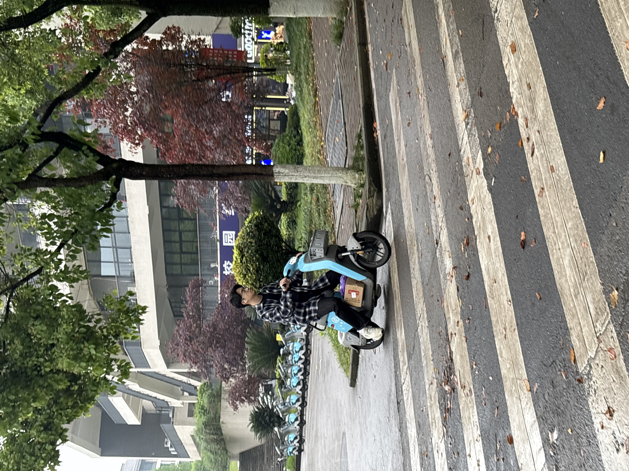 A man rides a blue electric scooter across a crosswalk in Jiangjin, China. He wears a black-and-white checkered shirt, black pants, and white shoes. A row of similar scooters is parked nearby. Trees are present on either side of the road. Buildings are visible in the background. The crosswalk has black and white stripes and is littered with leaves.