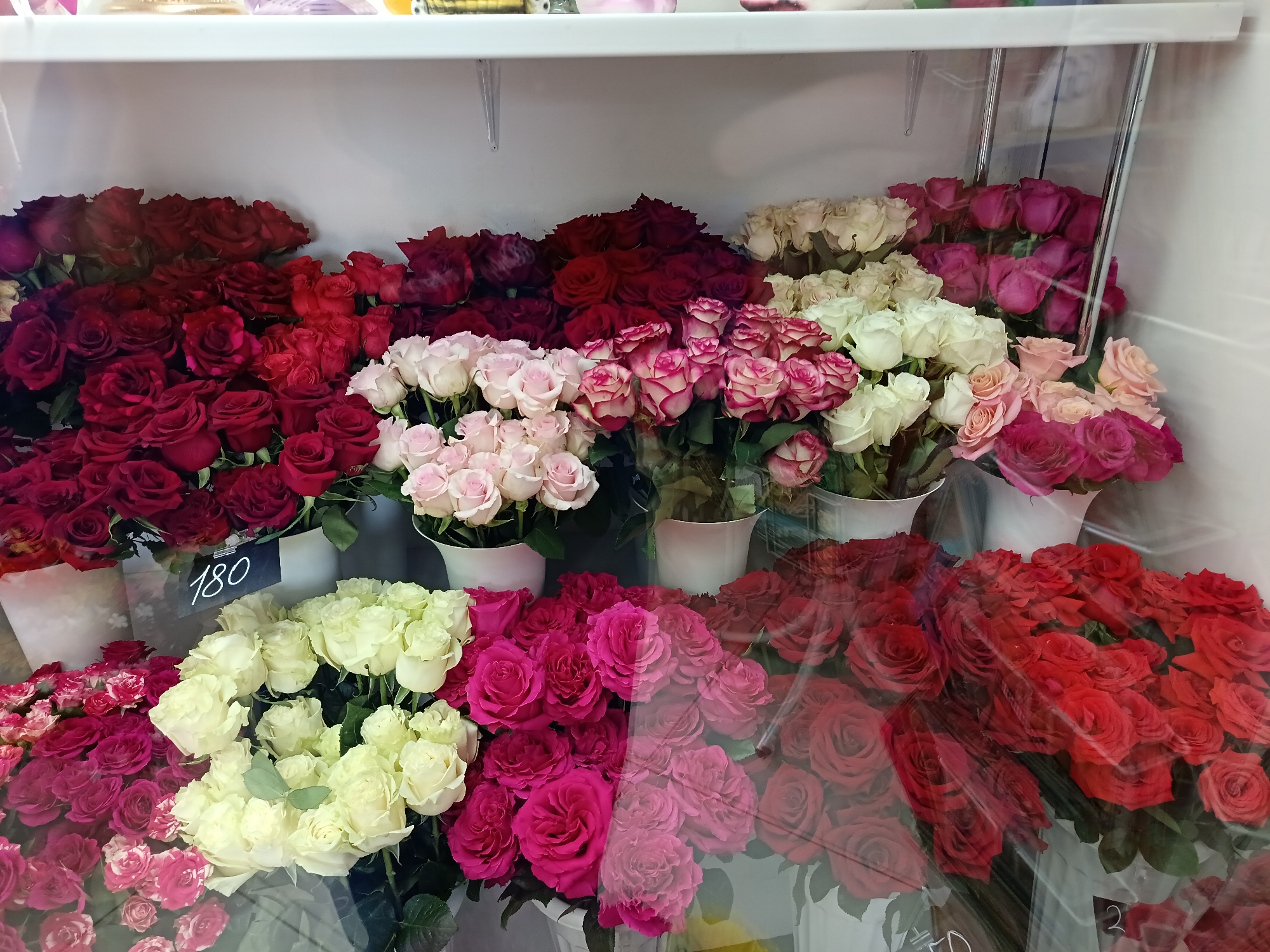 The image shows a display of various roses in what appears to be a flower shop. Roses in different colors like red, dark red, pink, white, and some with mixed colors are arranged in bunches inside white buckets. A price tag with "180" is visible among one of the white rose bunches. The setting looks like an indoor refrigerated display case, possibly within a retail store. The reflection on the glass indicates the shop is located in Osa, Russia.
