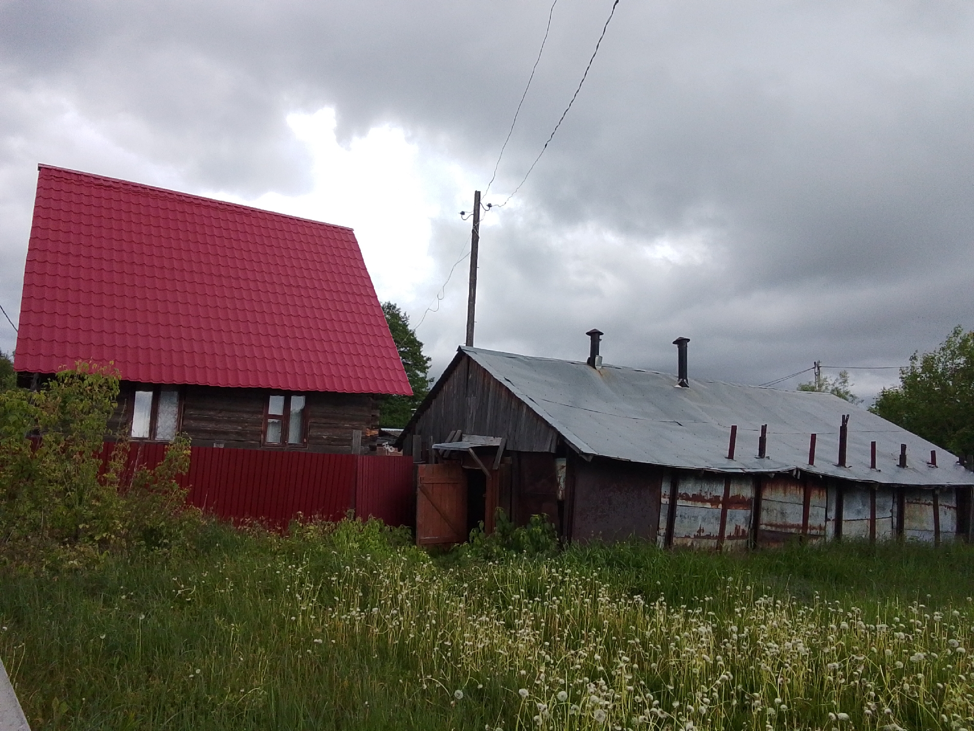 The image shows a rural scene in 1-Go Maya, Russia. In the foreground, tall grass and dandelions fill a field. Two buildings are visible: one with a red metal roof and a dark wooden facade partially obscured by a red fence, and a longer, weathered structure with a gray metal roof and rusty walls. The second building has several chimneys. A utility pole with wires is also present. The sky is overcast and gray. No people are visible.