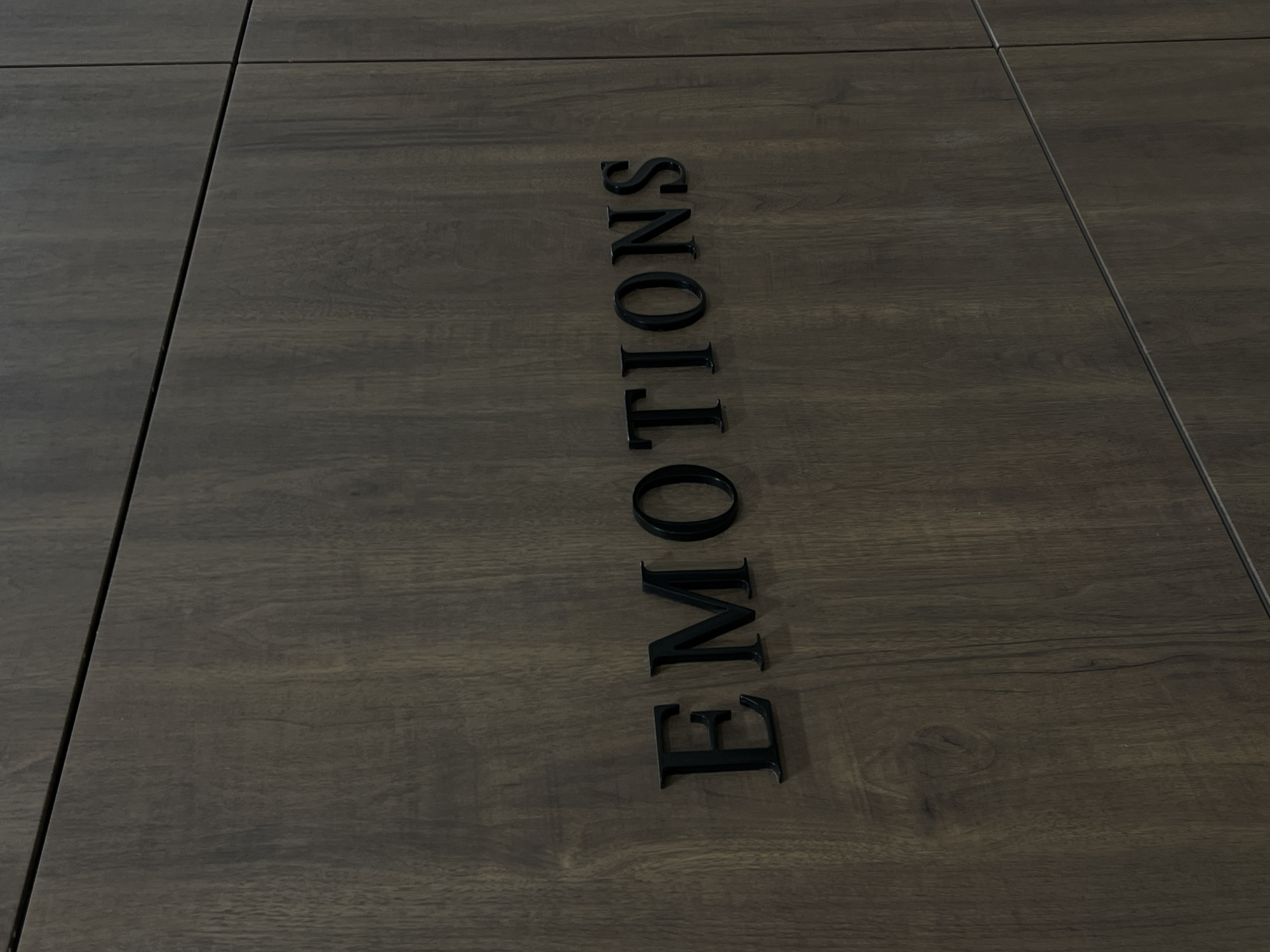 A close-up, eye-level shot depicts a dark, wood-grain surface with the word "EMOTIONS" spelled out vertically in capital, black letters. The letters are aligned on what appears to be a surface composed of adjacent panels, as indicated by the vertical lines to the left and right of the word. The wood-grain pattern varies subtly across the surface, suggesting it may be a composite material. The lighting is even and diffuse, and the details are sharp, emphasizing the texture of the wood and the edges of the letters. The overall impression is of a sign or display with a thoughtful or introspective theme. The location in Astana, Kazakhstan is not evident from the image.